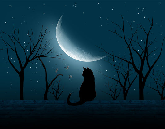 Rituals To Try During The New Moon