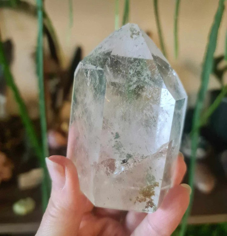 Gemz on Gem Owner Frances Holding Clear Crystal