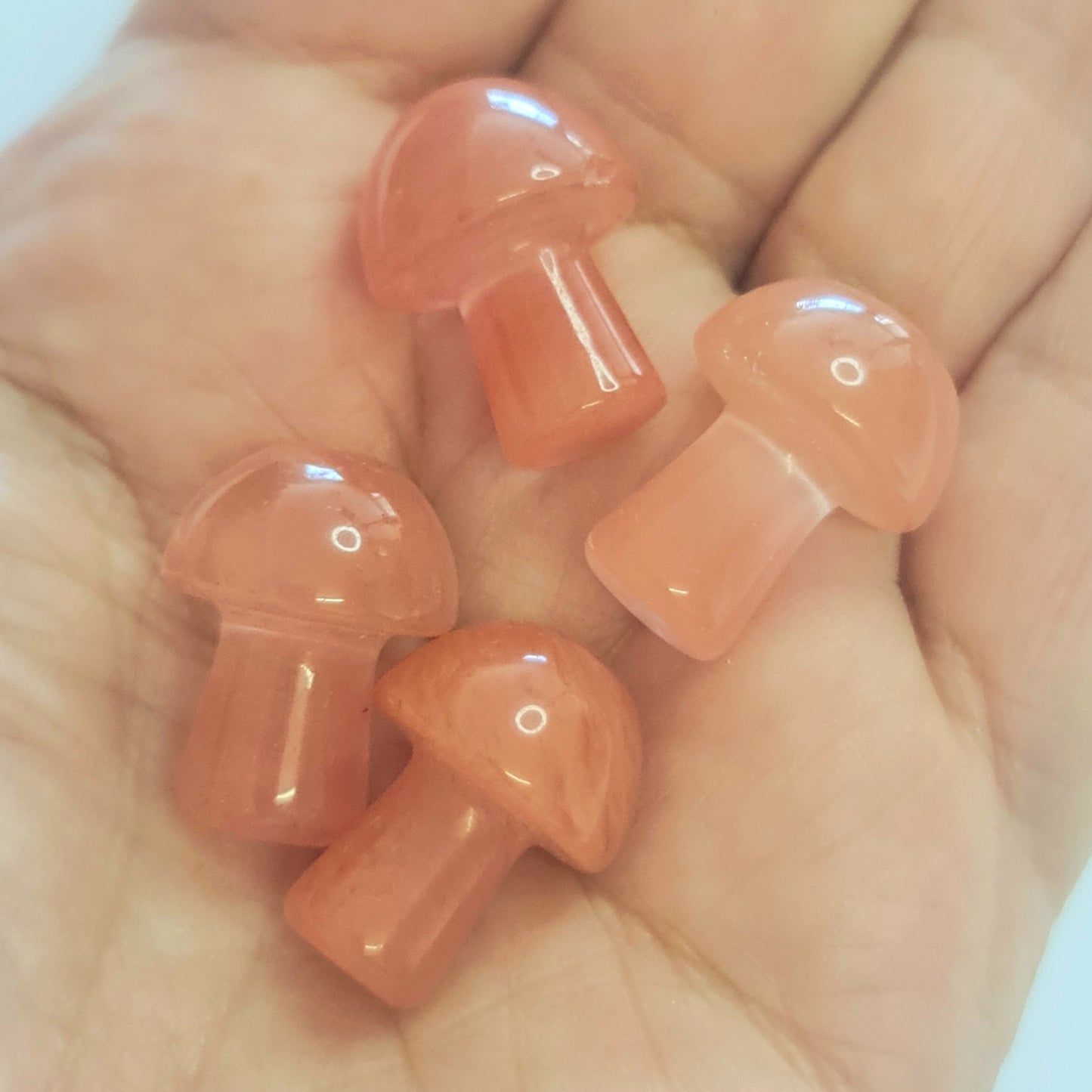 Mini Crystal Mushrooms