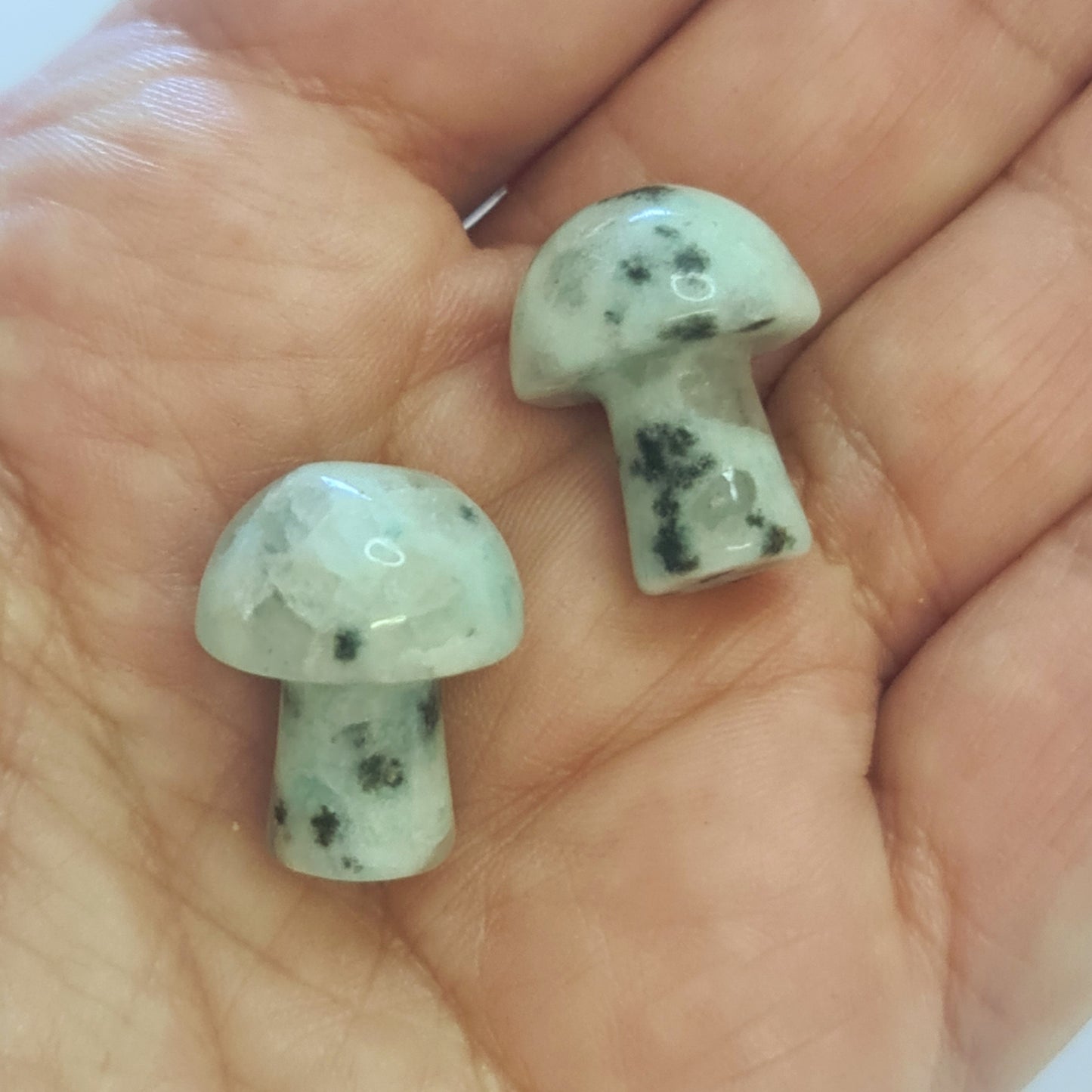 Mini Crystal Mushrooms