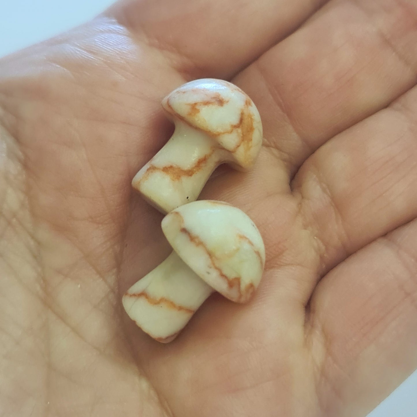 Mini Crystal Mushrooms