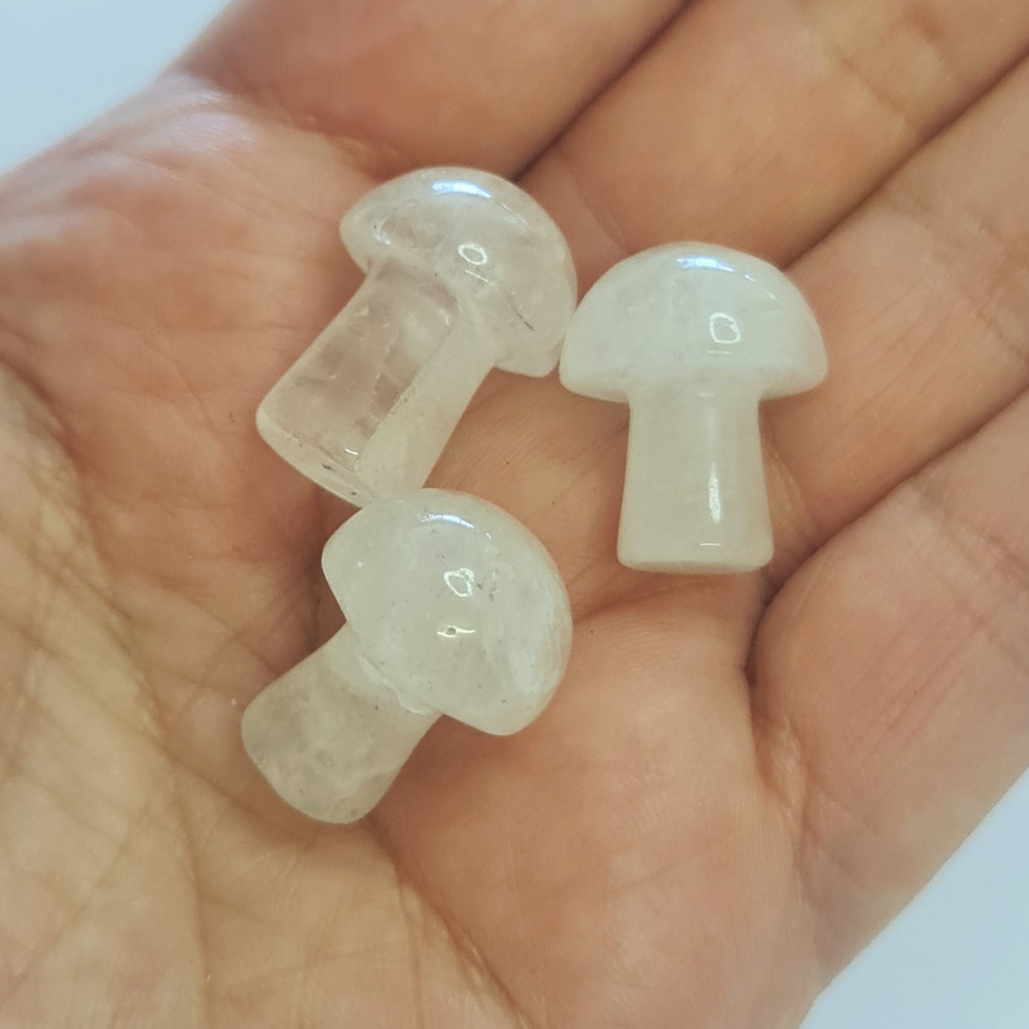 Mini Crystal Mushrooms