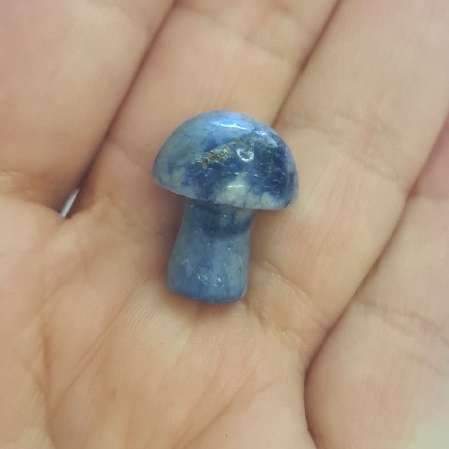 Mini Crystal Mushrooms