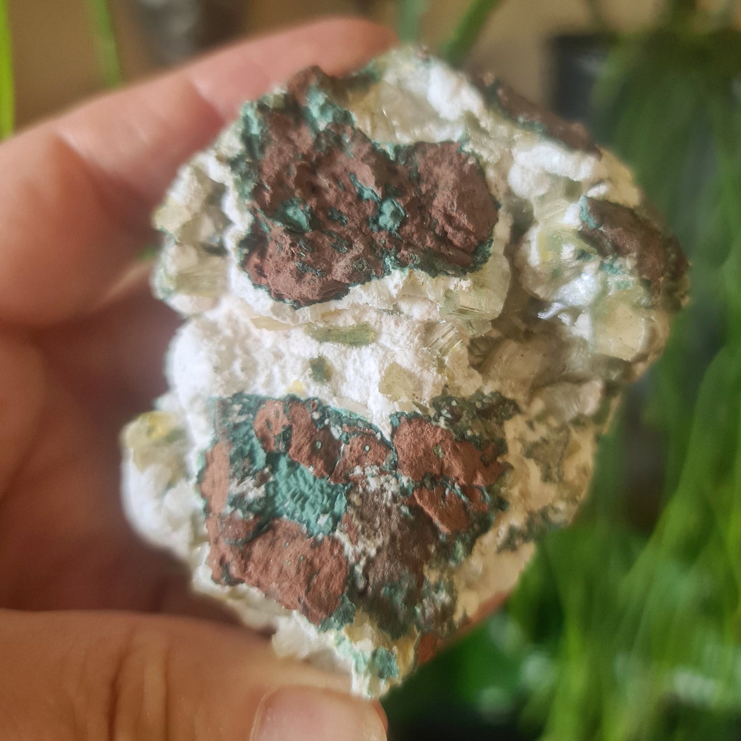 Zeolite Clusters