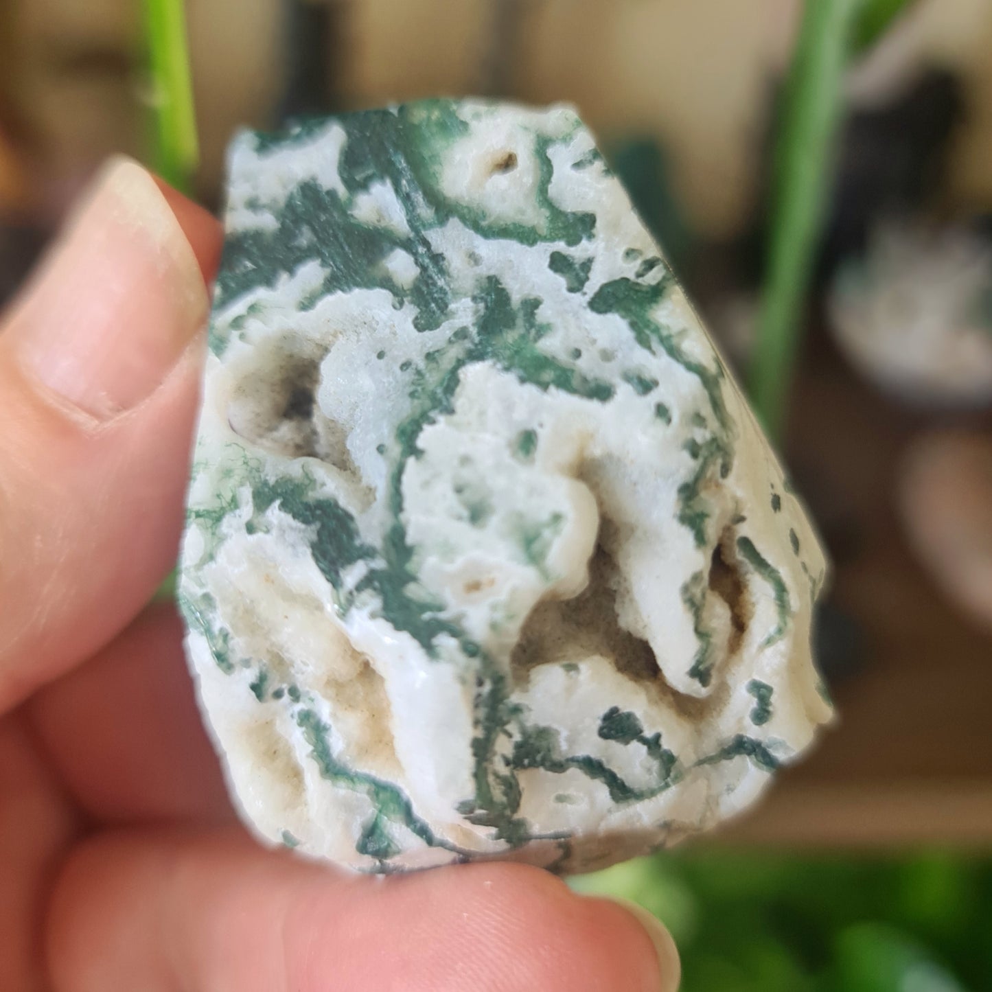 Moss Agate Druzy Freeform