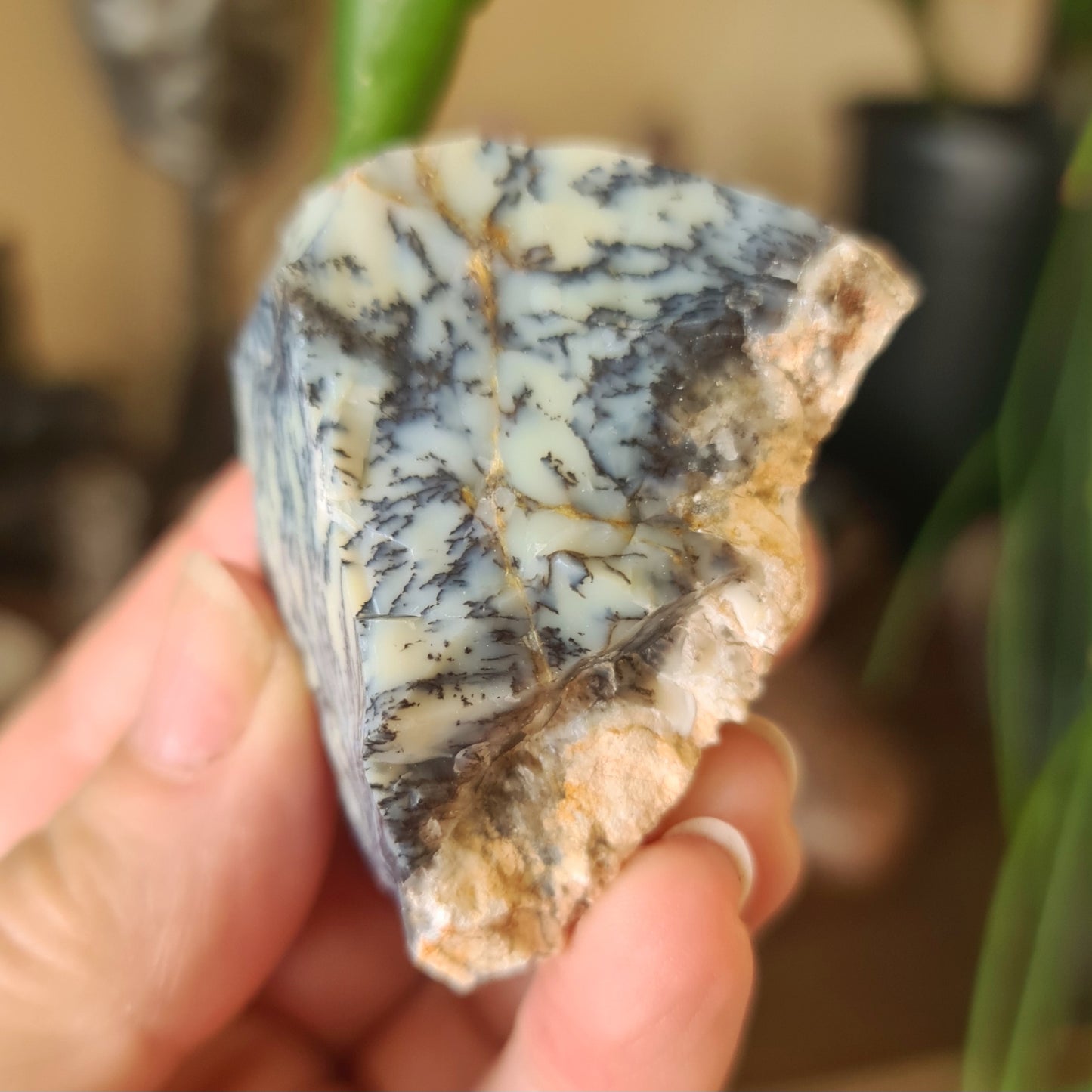 Dendritic Opal Freeform