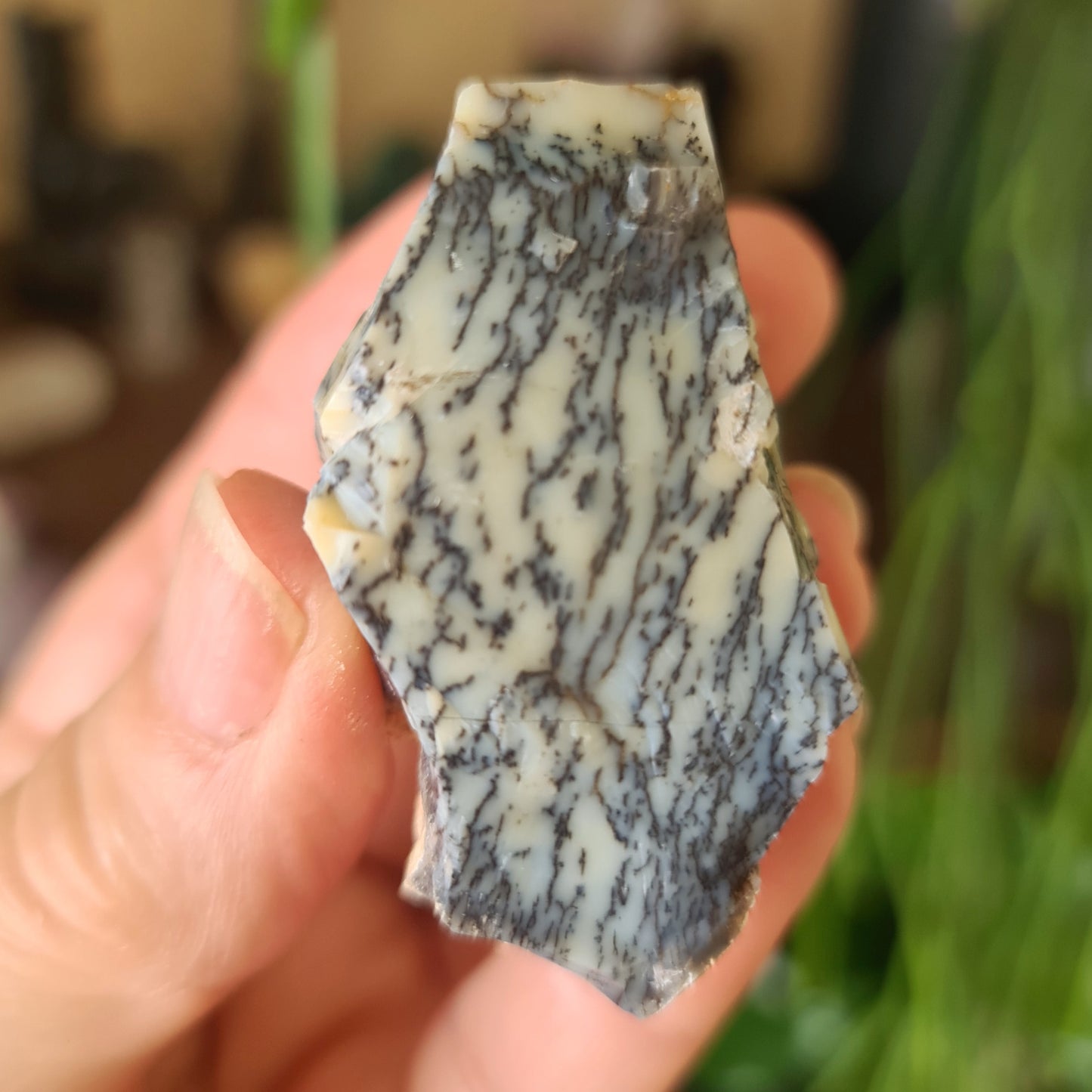 Dendritic Opal Freeform
