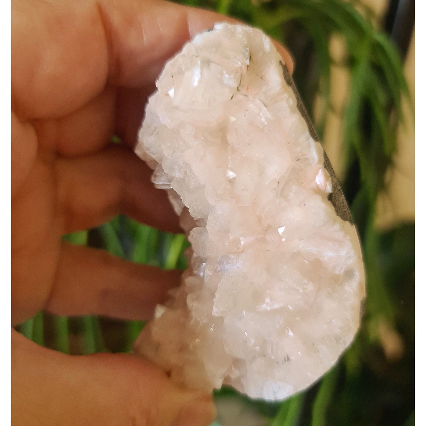 Apophyllite Cluster