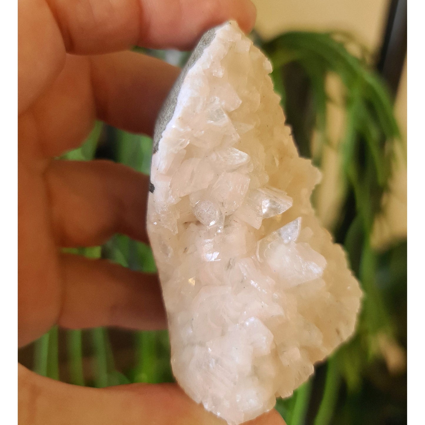 Apophyllite Cluster