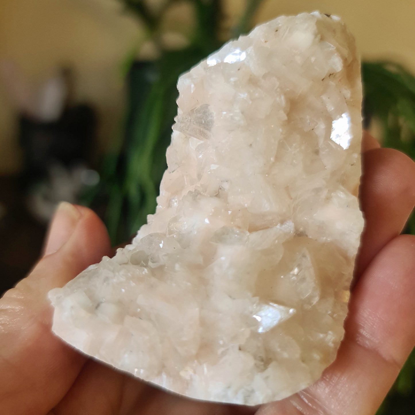 Apophyllite Cluster