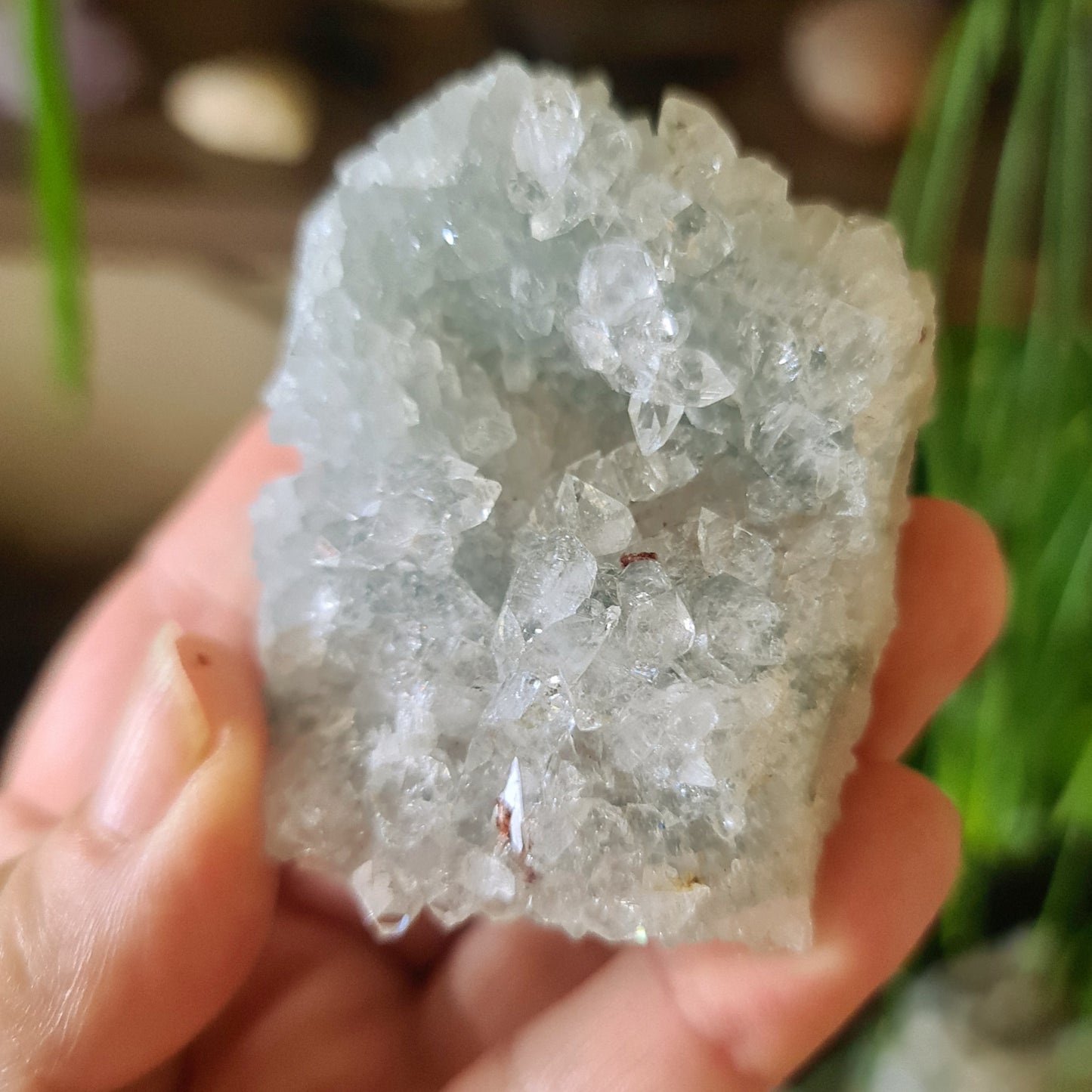 Apophyllite Cluster