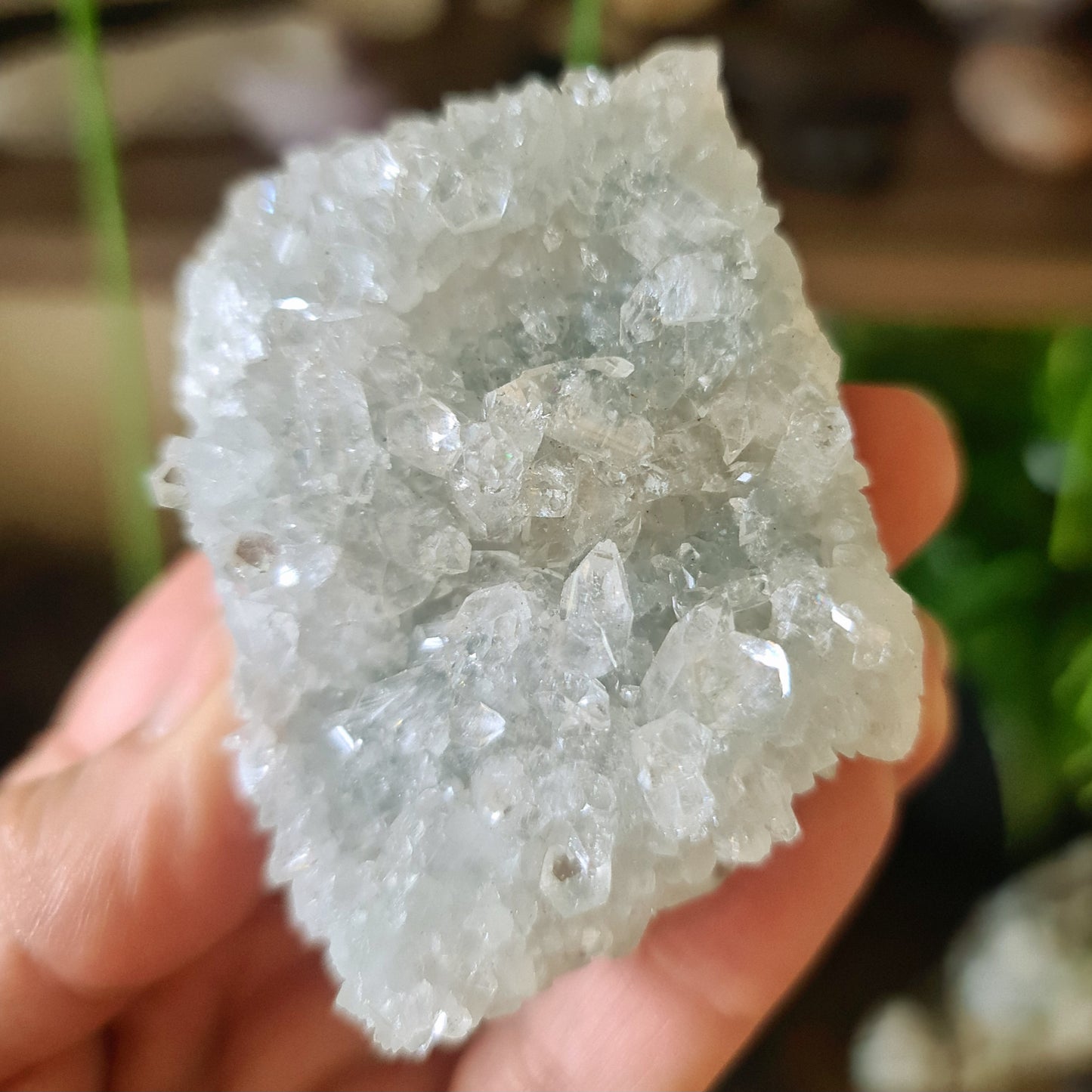 Apophyllite Cluster