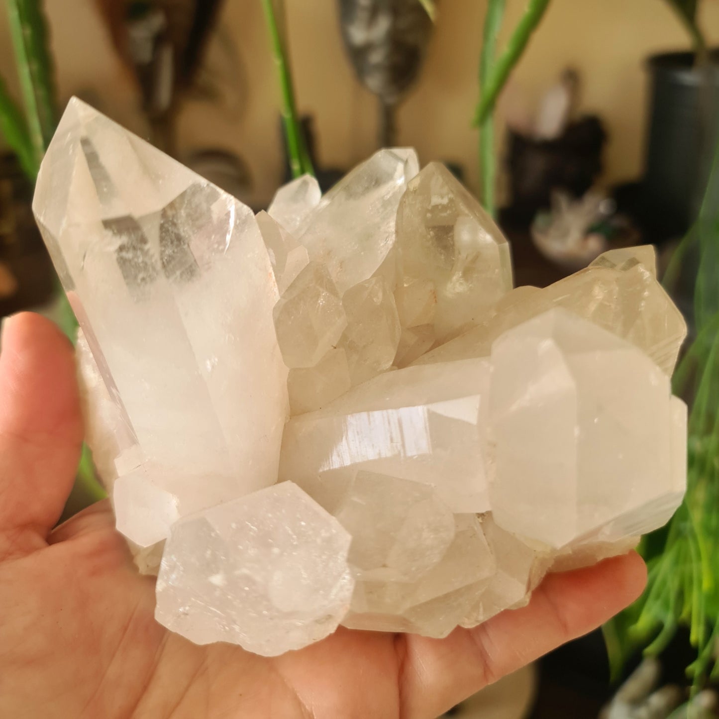 Clear Quartz Cluster