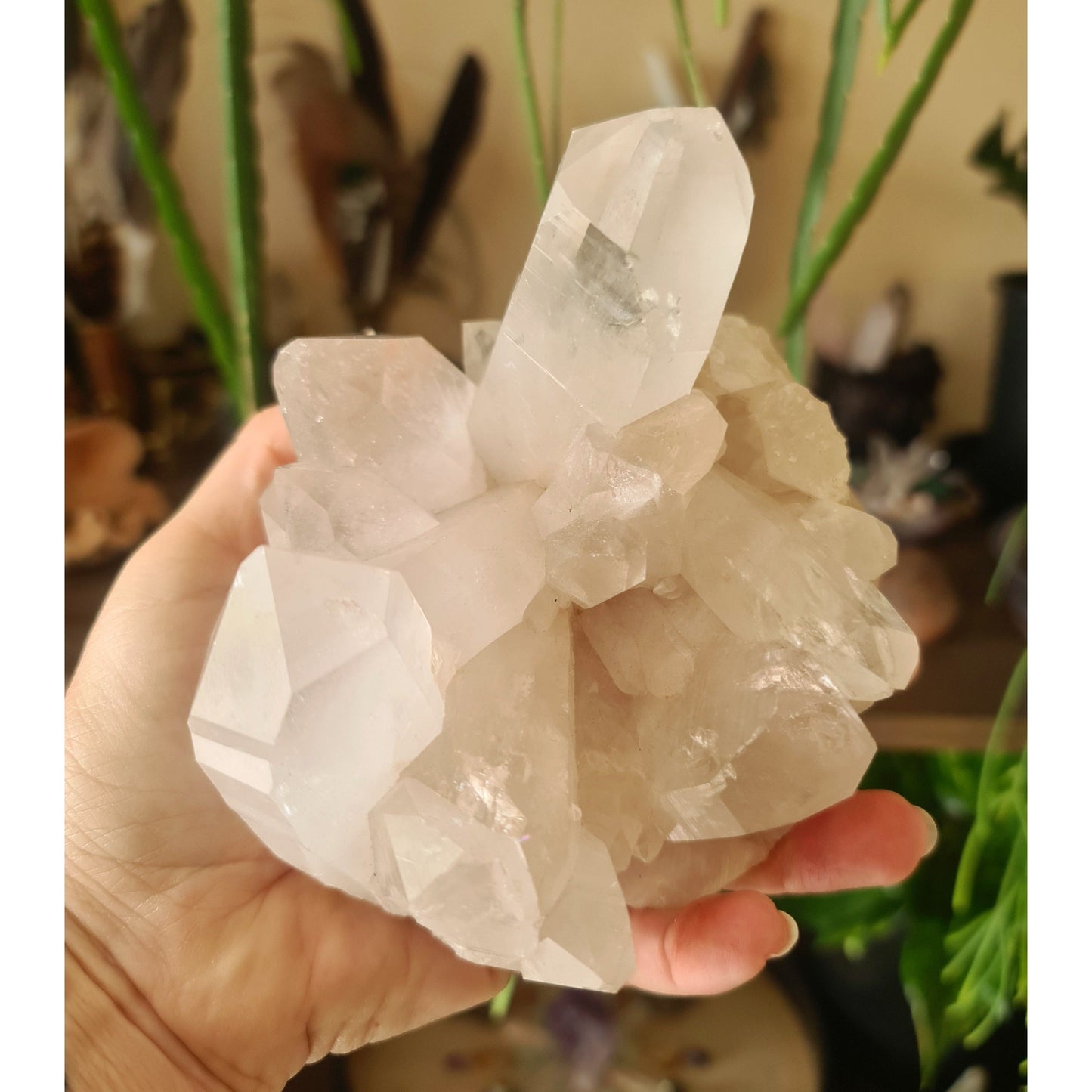 Clear Quartz Cluster