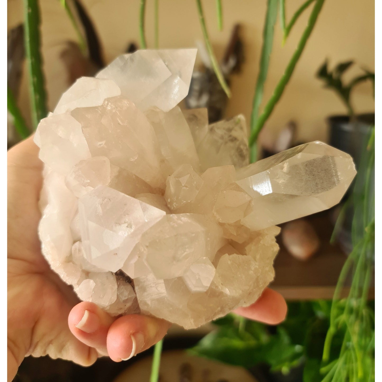 Clear Quartz Cluster