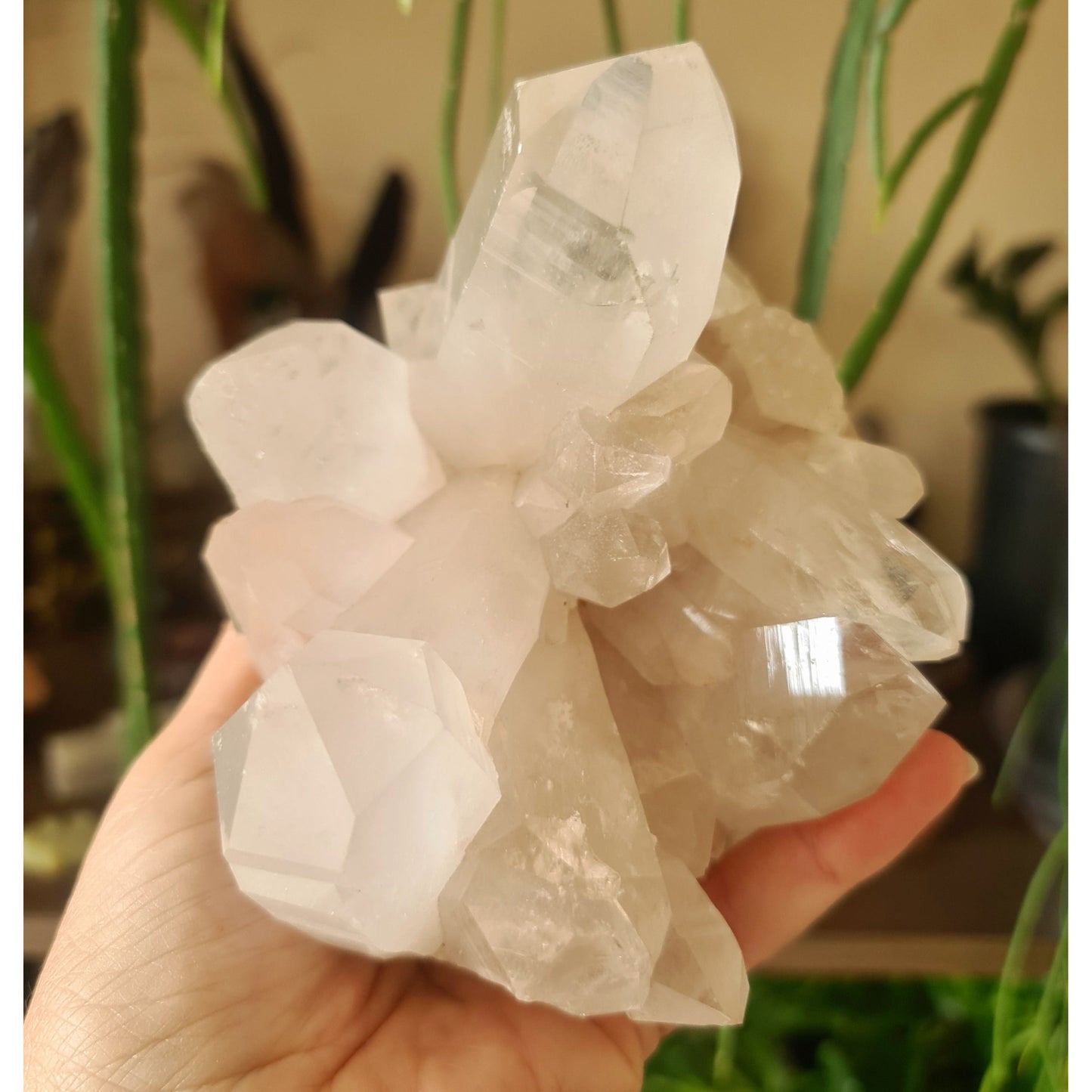 Clear Quartz Cluster