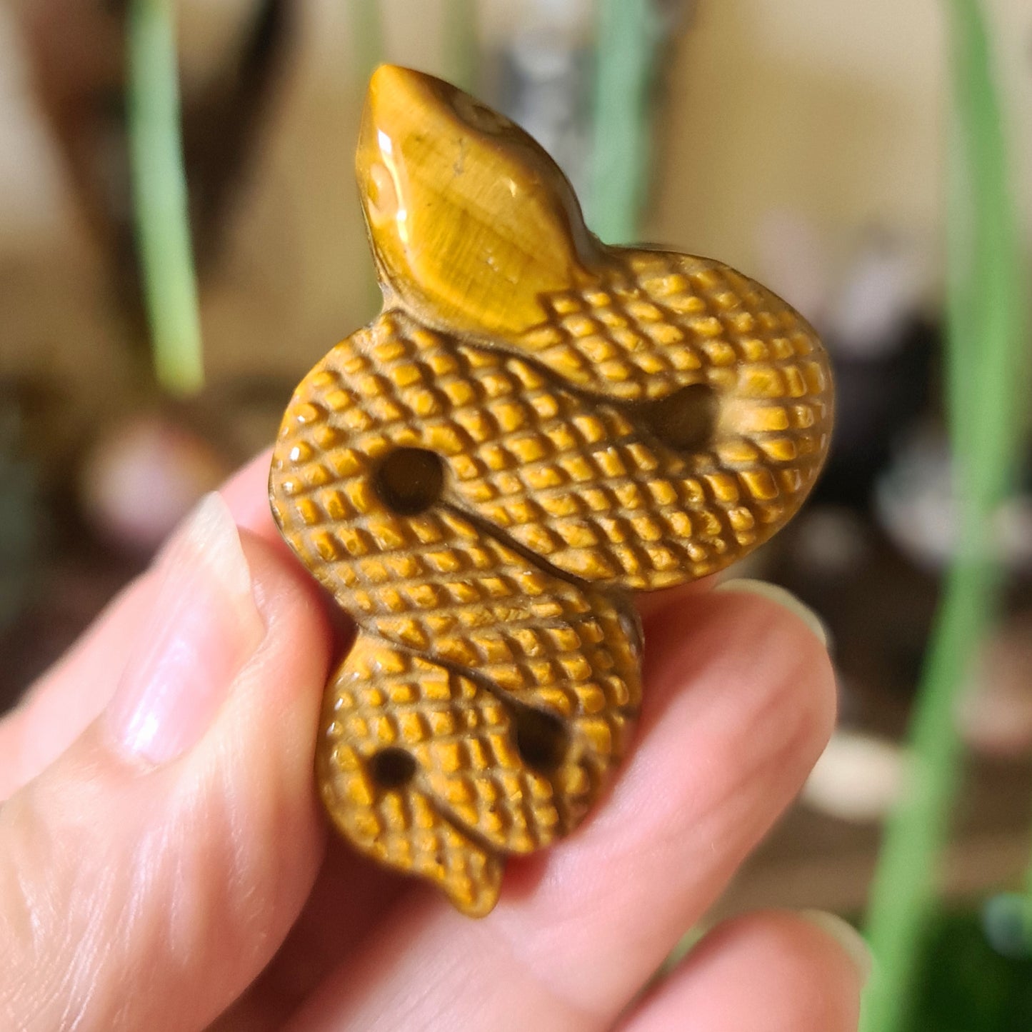 Tiger Eye Snake
