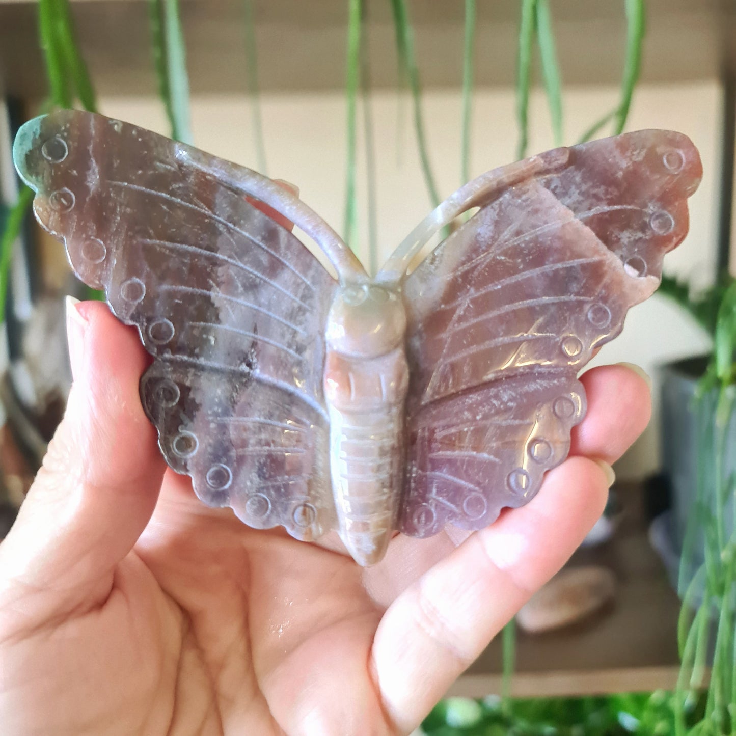Bloodstone Butterfly