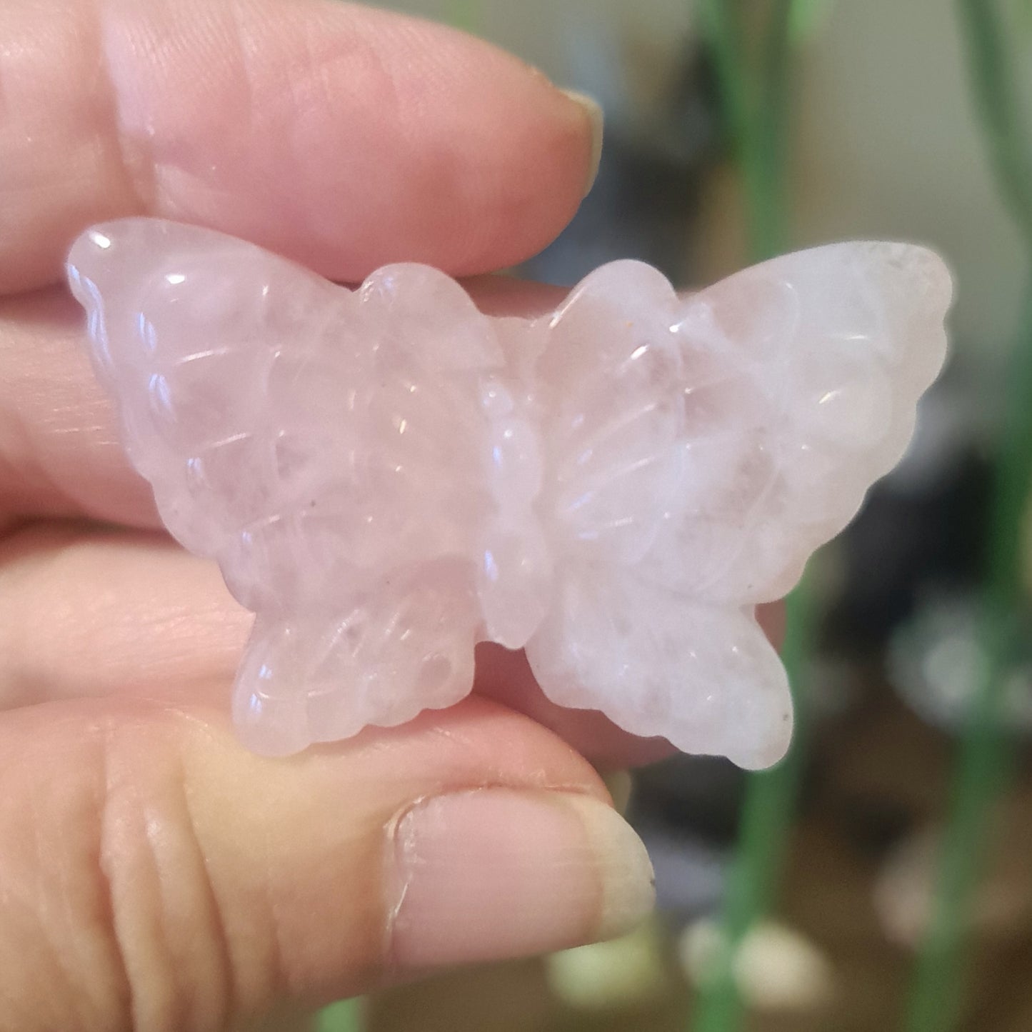 Crystal Butterflies