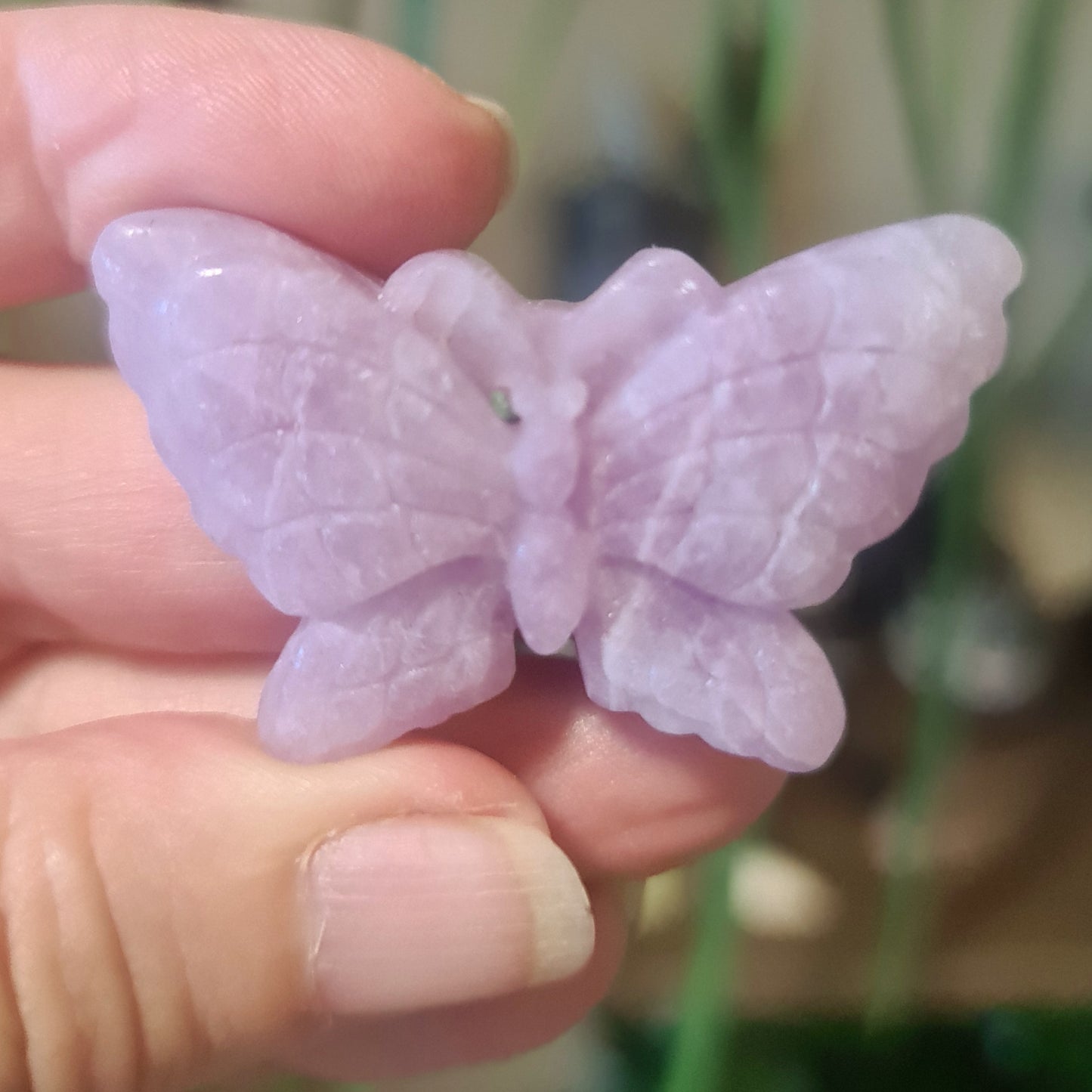 Crystal Butterflies