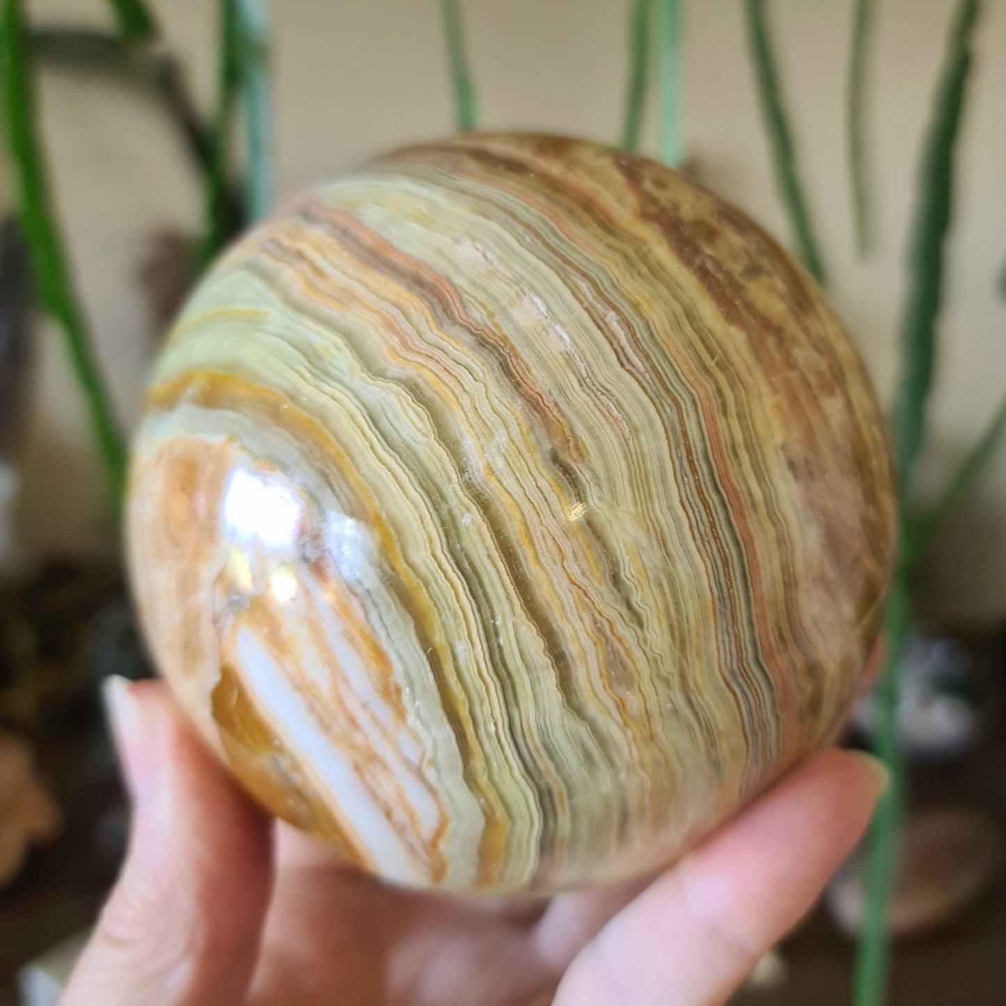 Green Onyx Spheres - Large