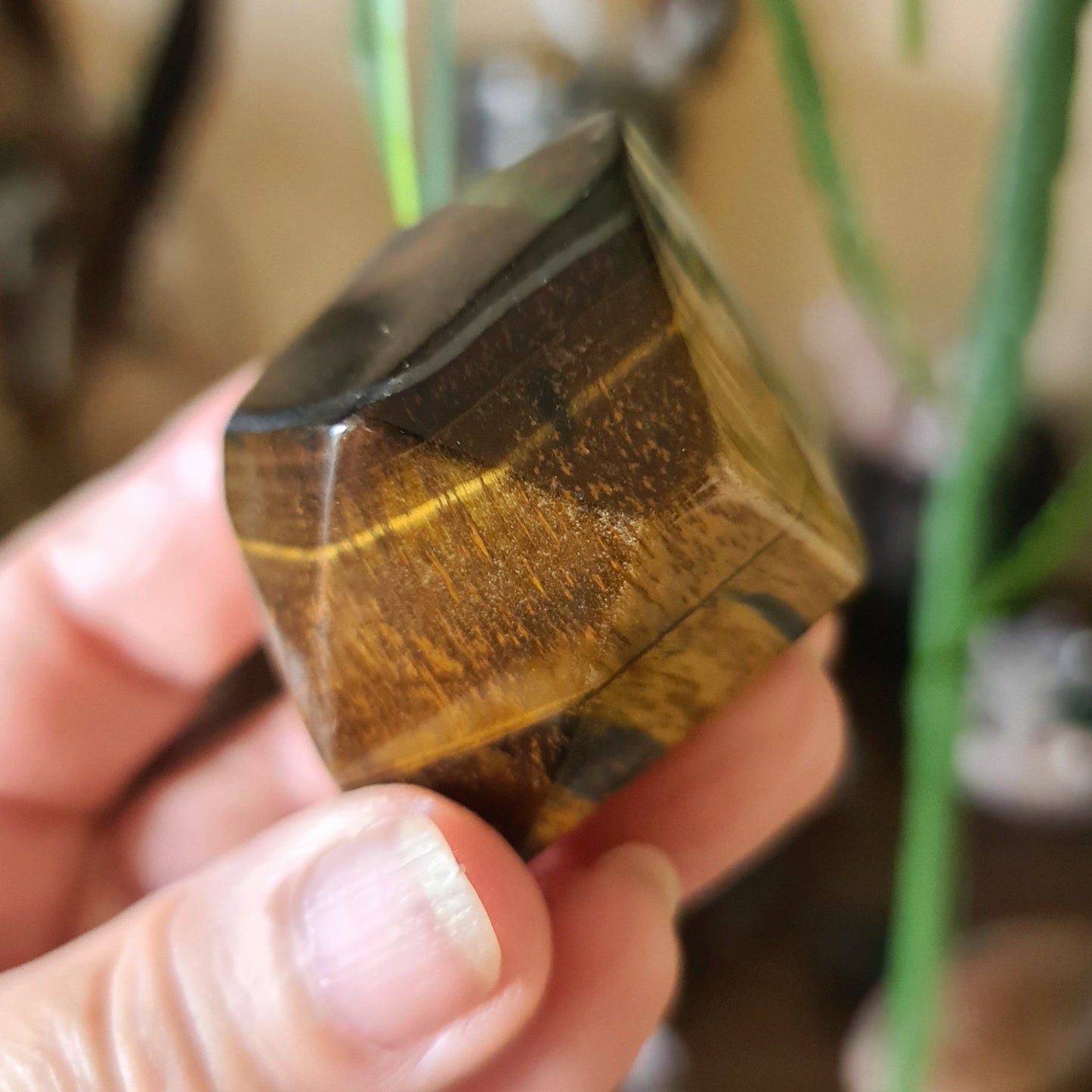 Tiger Eye Freeform