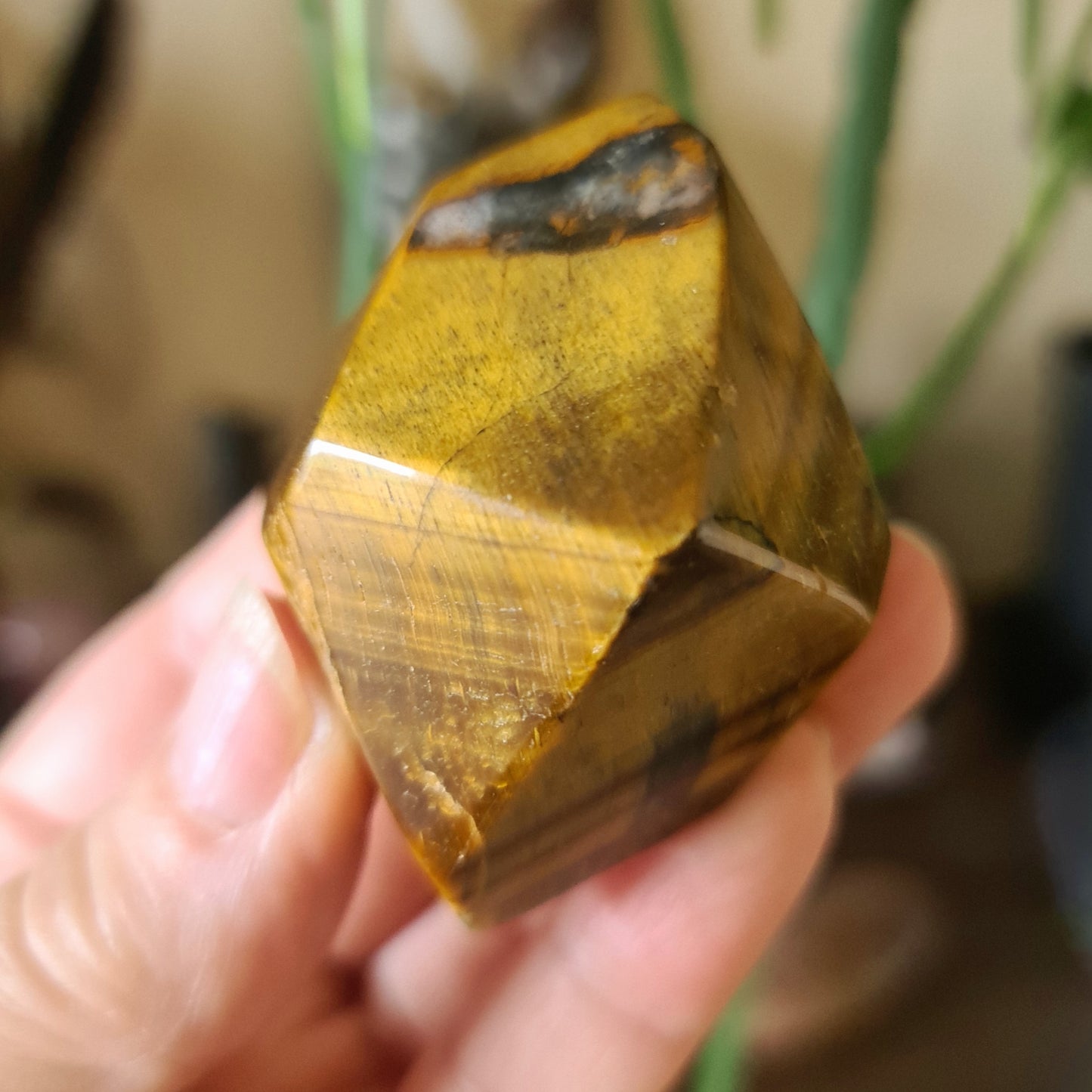 Tiger Eye Freeform