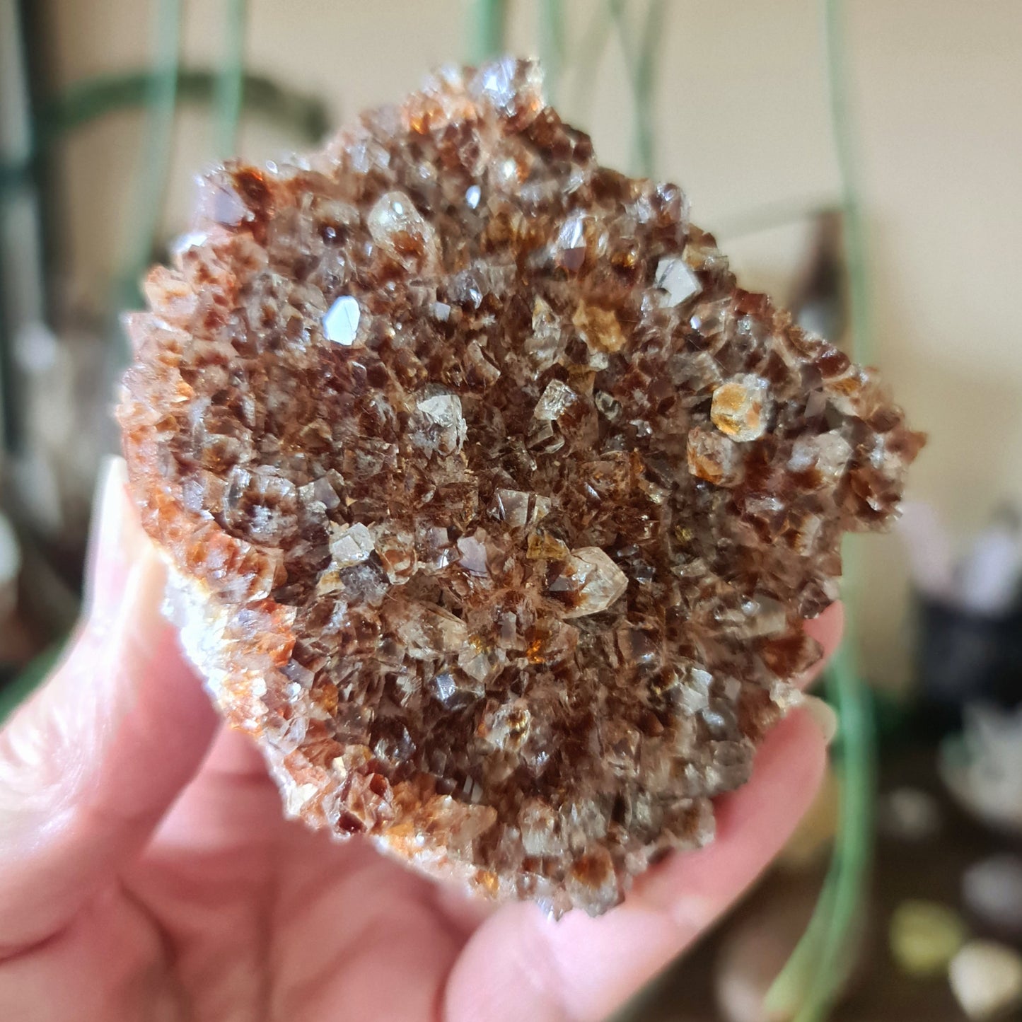Citrine Cluster - Large