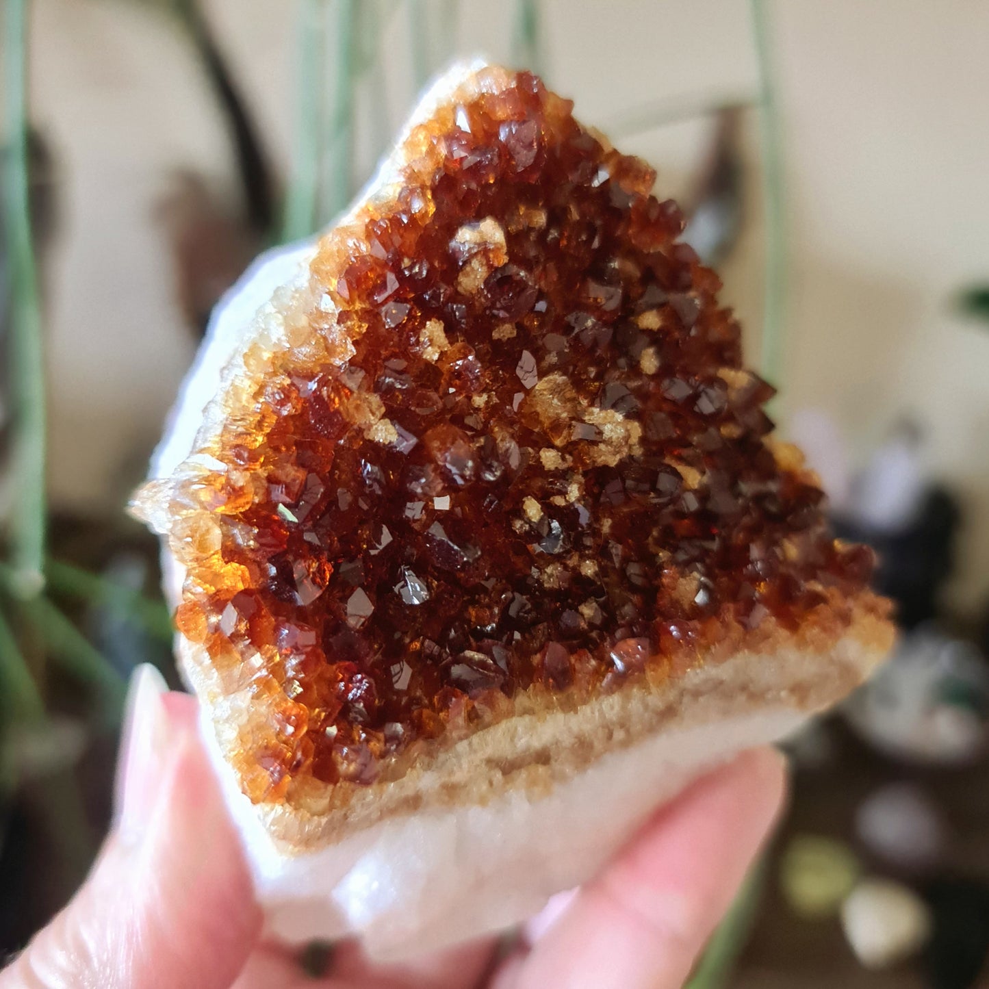 Citrine Cluster - Large