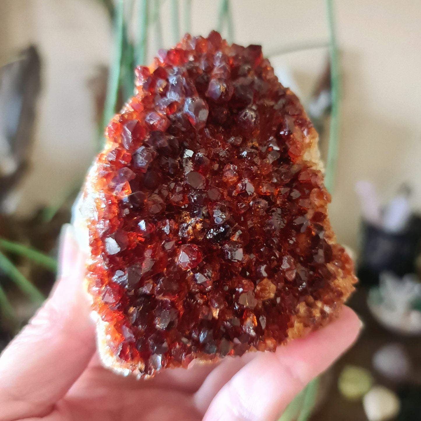 Citrine Cluster - Large