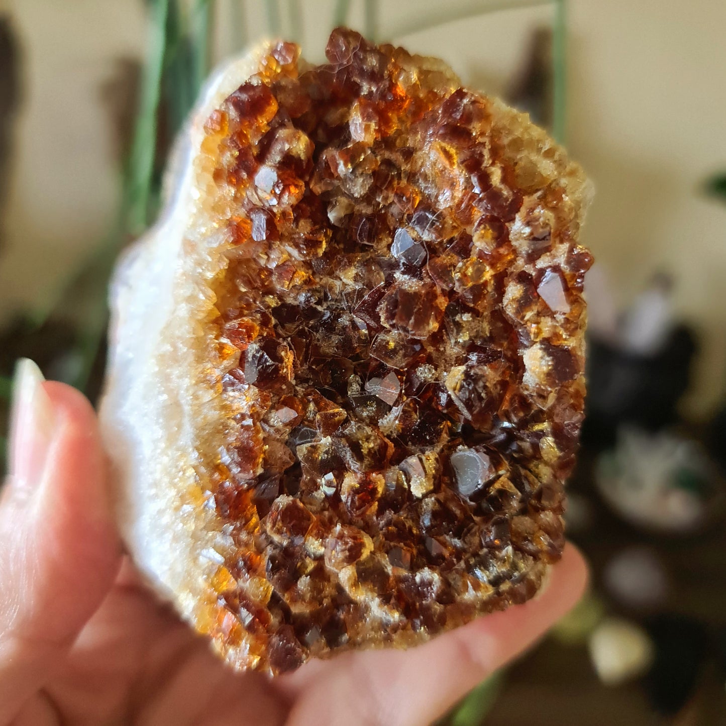 Citrine Cluster - Large