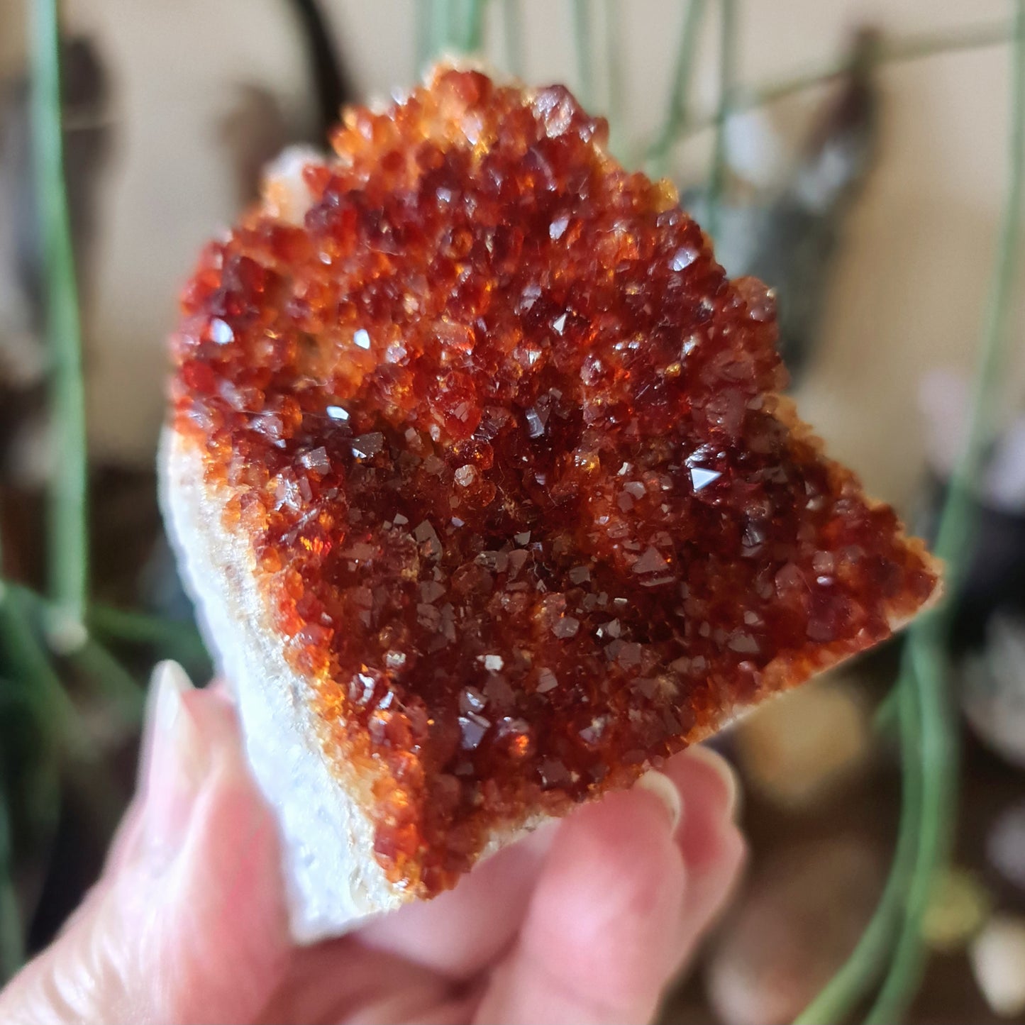 Citrine Cluster - Large