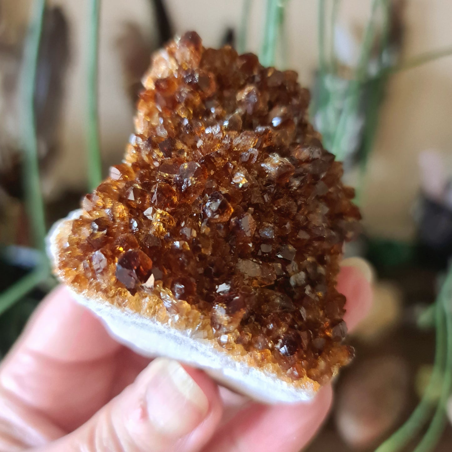 Citrine Cluster - Large
