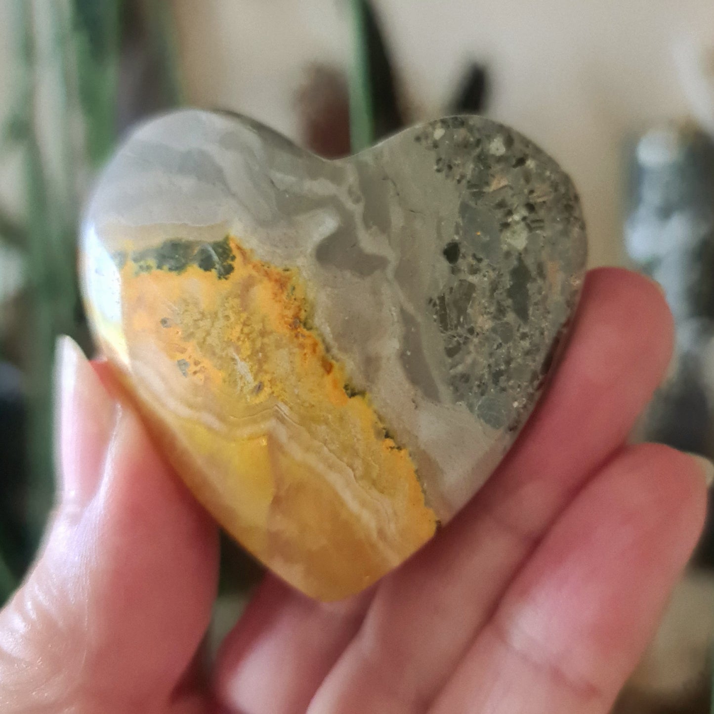 Bumblebee Jasper Hearts