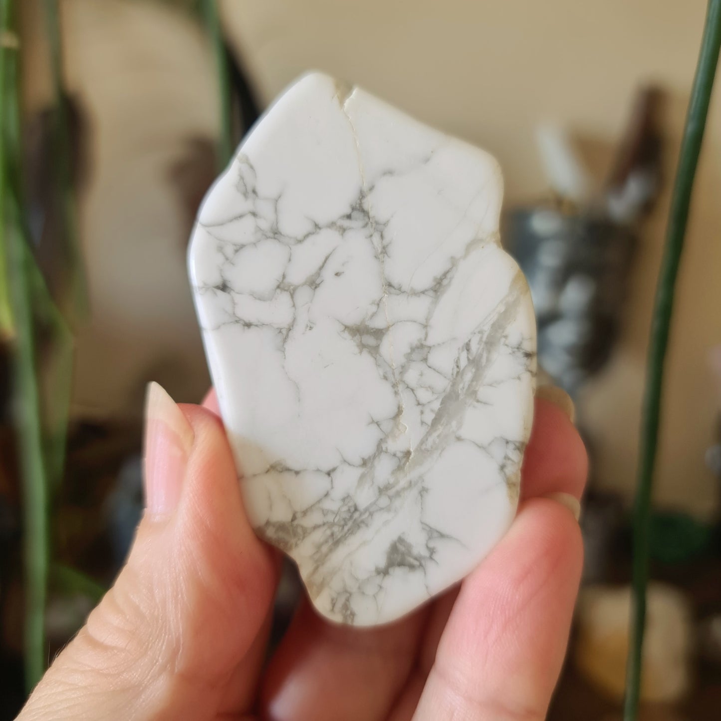 White Howlite Tiles