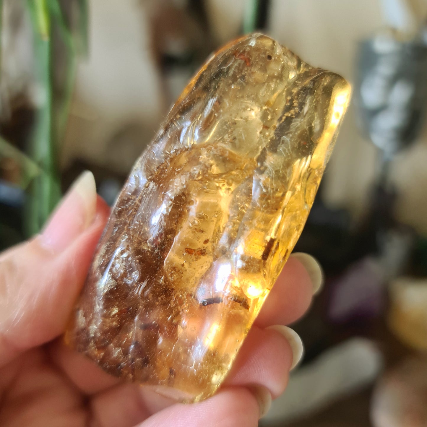 Amber Specimen