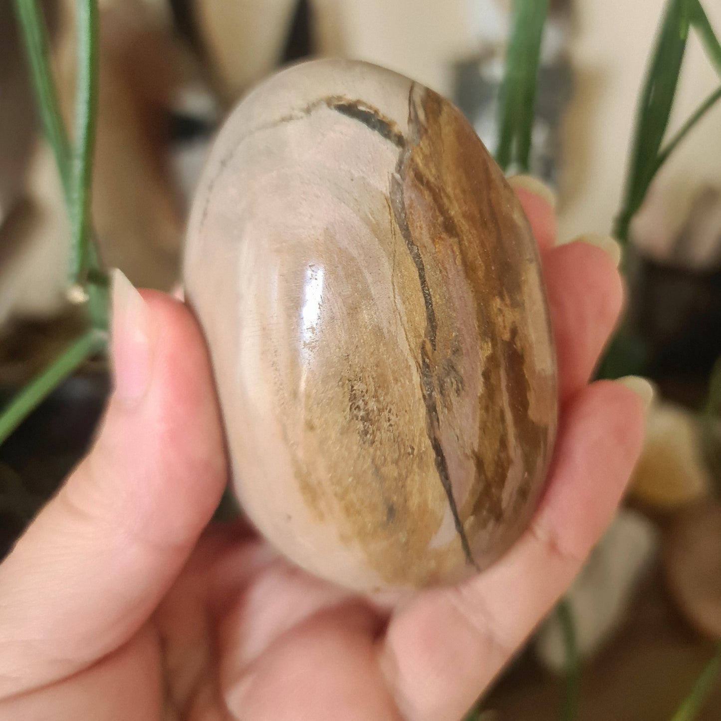 Ocean Jasper Palm Stone