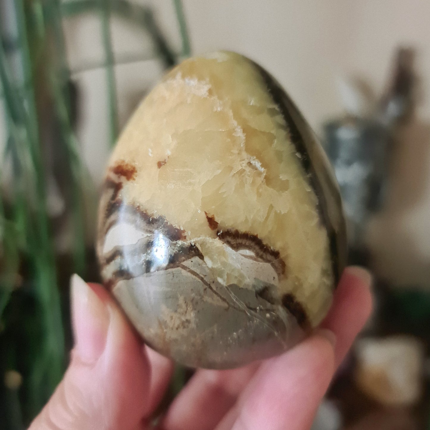 Septarian Egg - Large