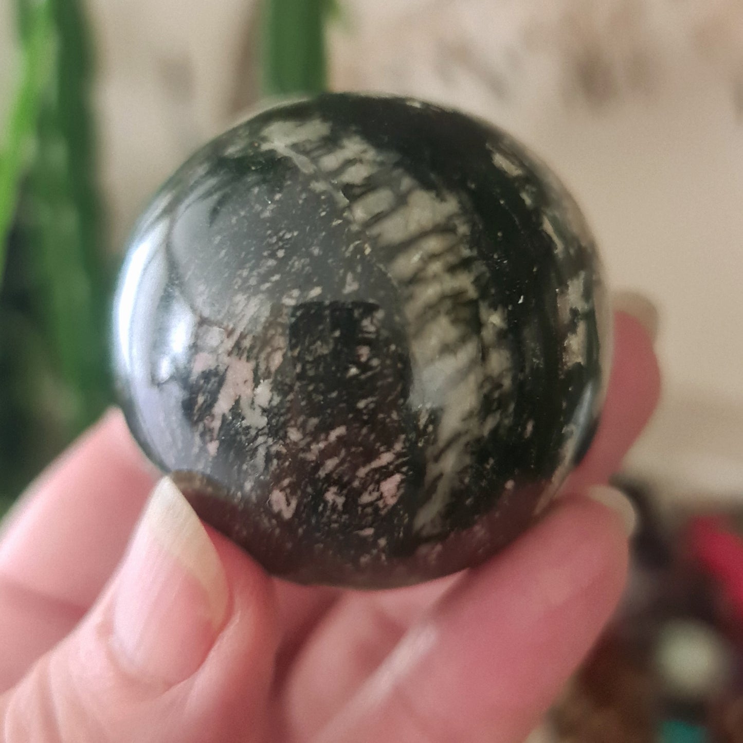 Orthoceras Sphere