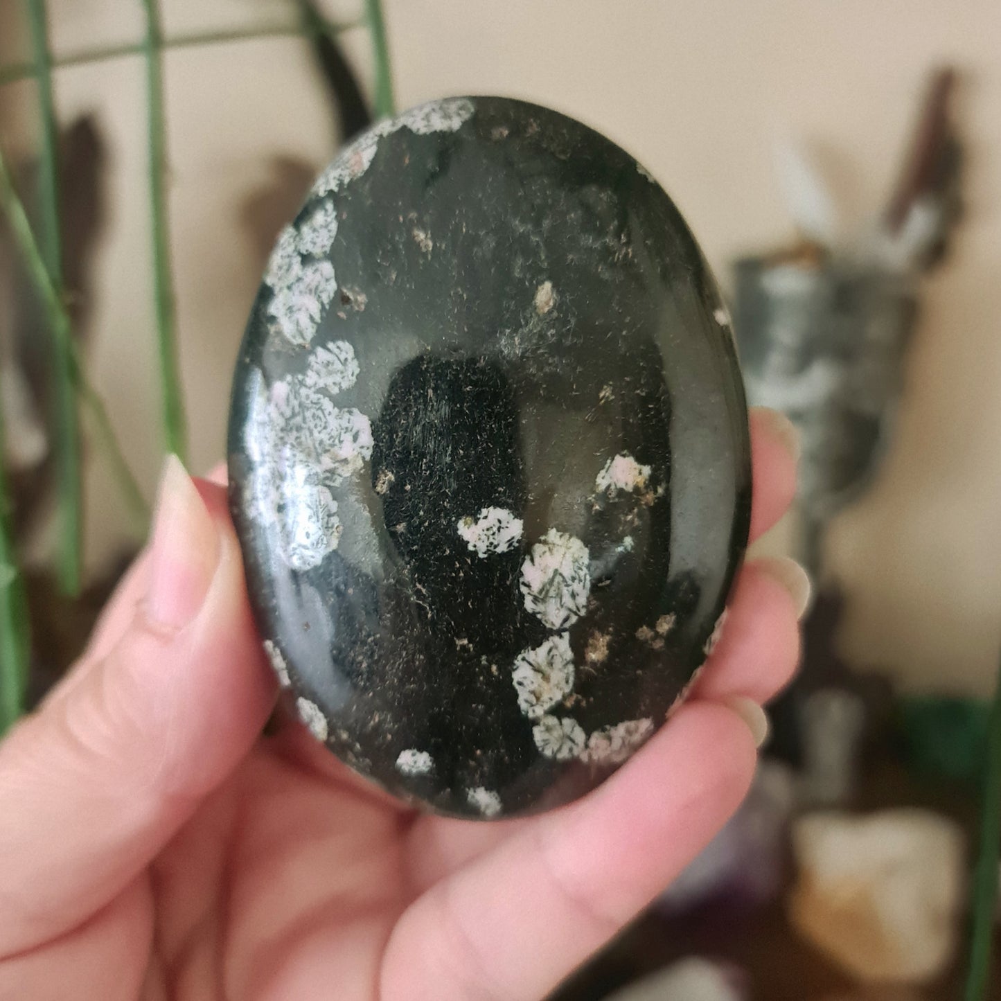 Pudding Stone Jasper Palm