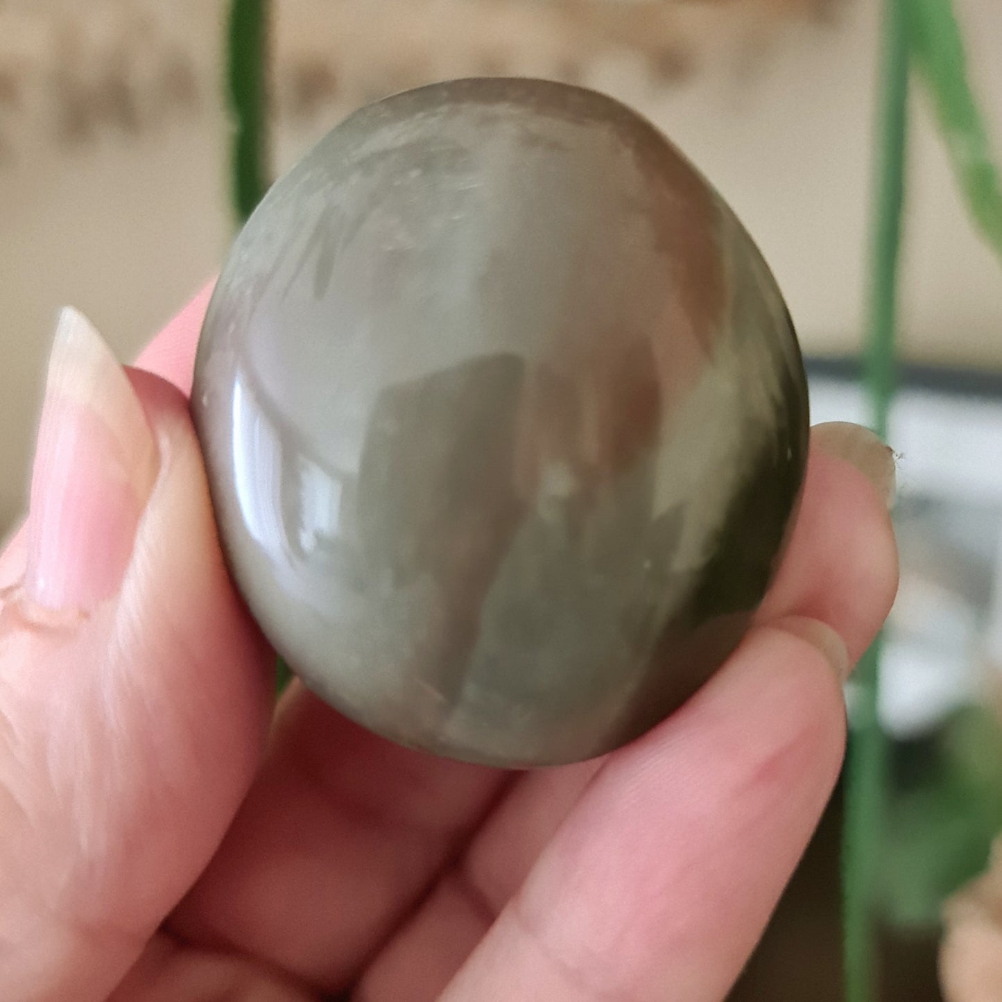 Polychrome Jasper Palm Stone - Large
