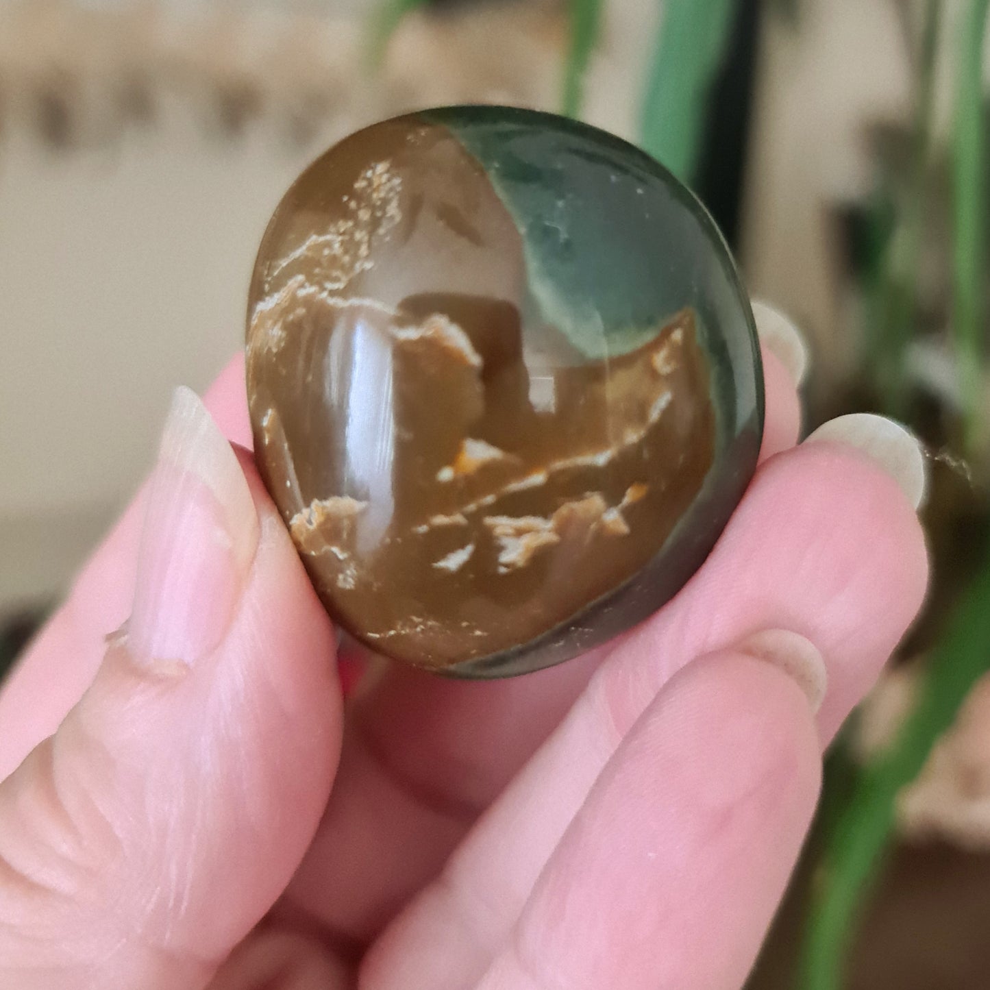Polychrome Jasper Palm Stone - Large