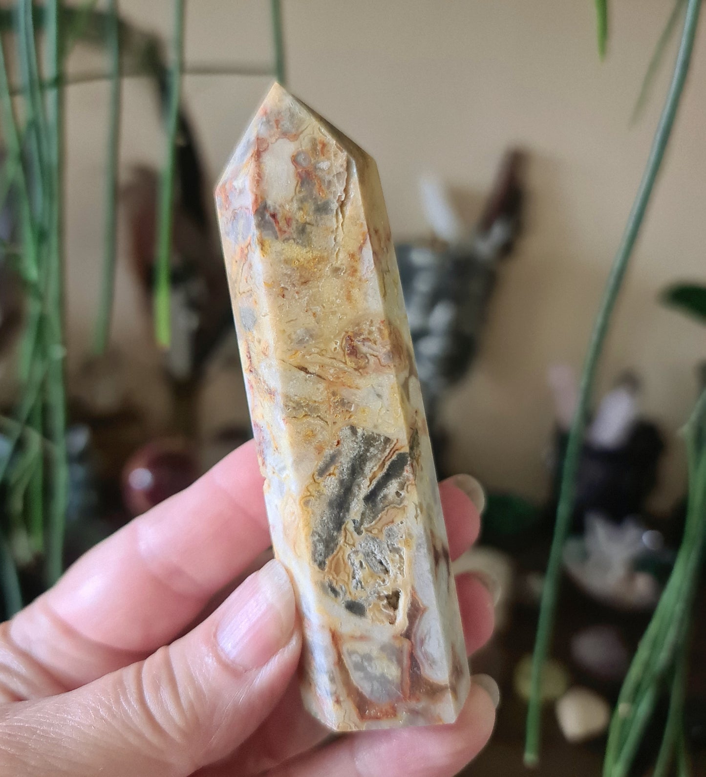Crazy Lace Agate Points