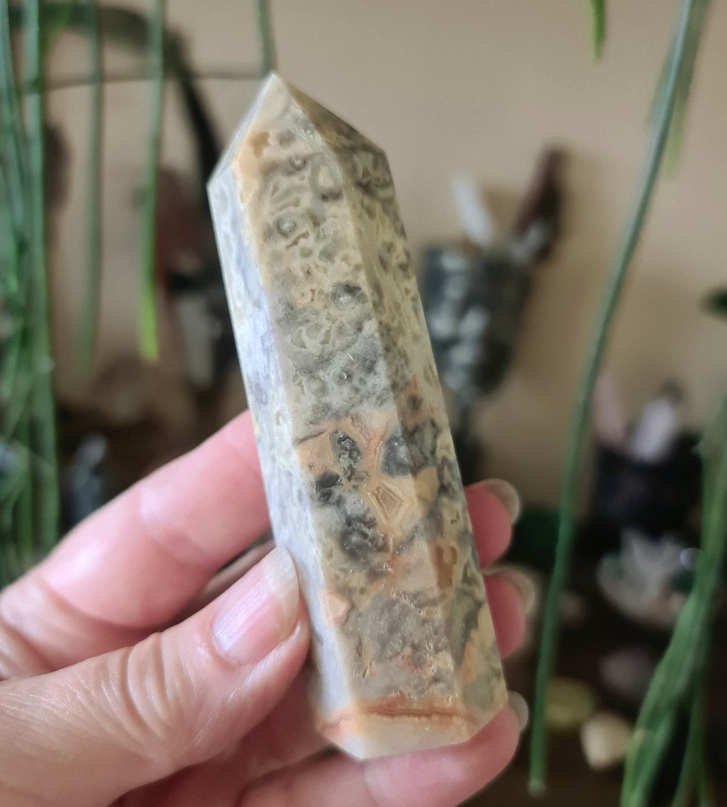 Crazy Lace Agate Points
