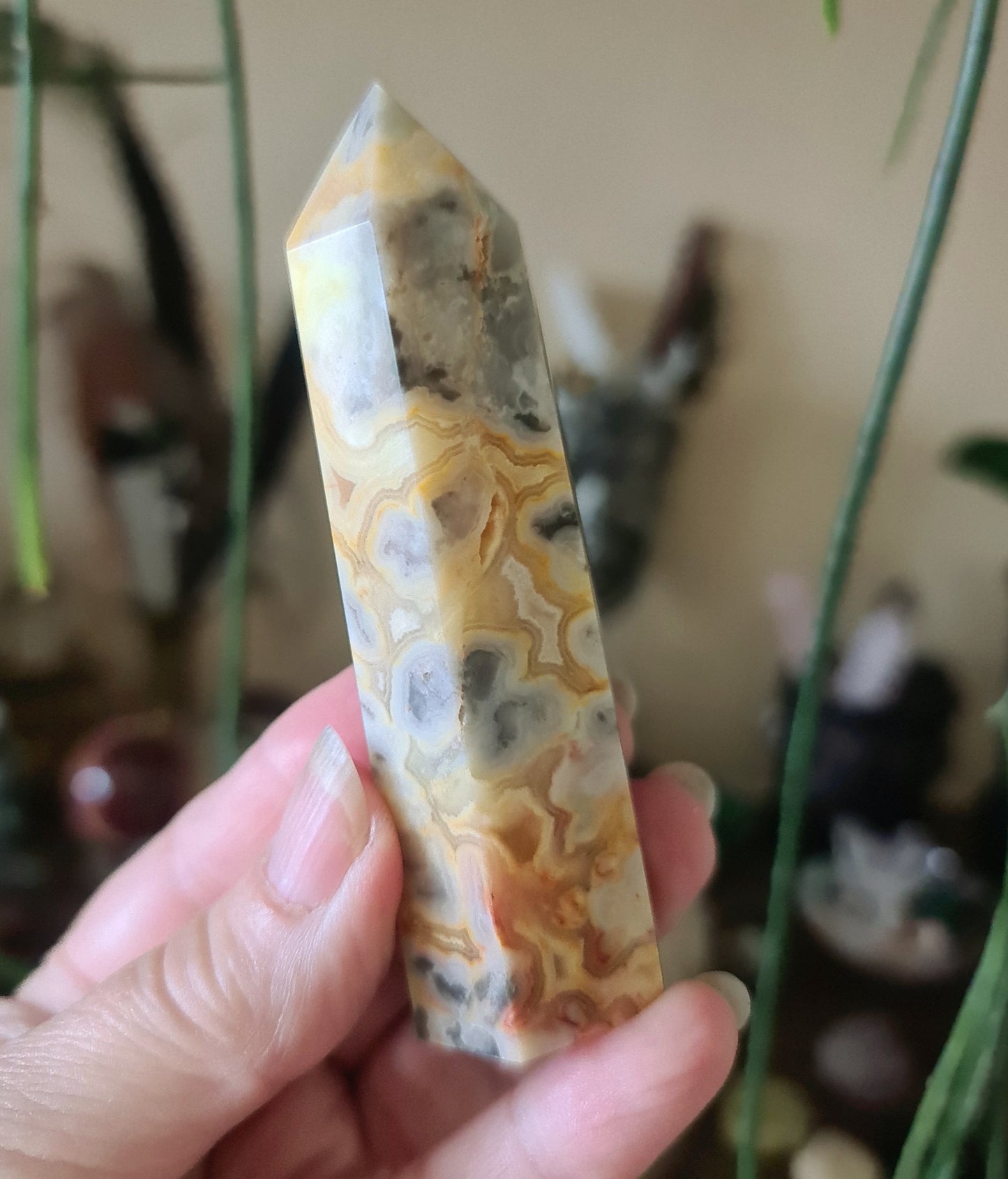 Crazy Lace Agate Points
