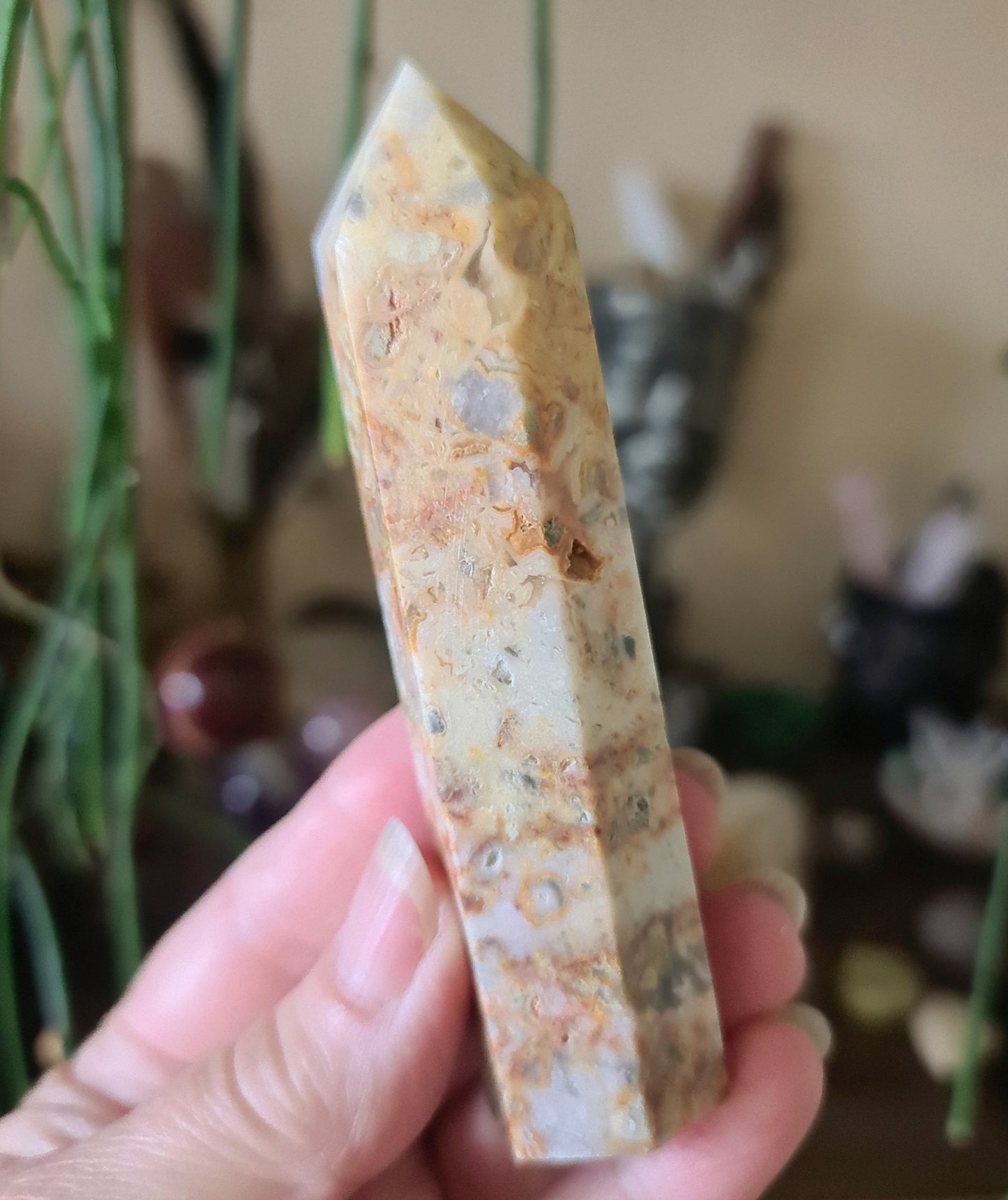 Crazy Lace Agate Points