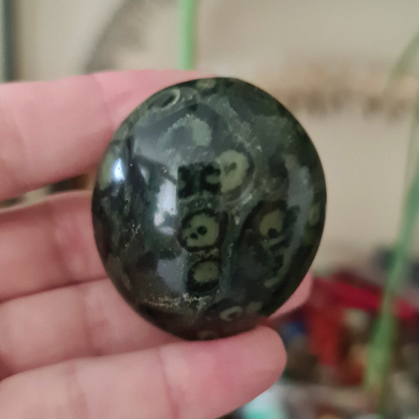 Kambaba Jasper - Medium