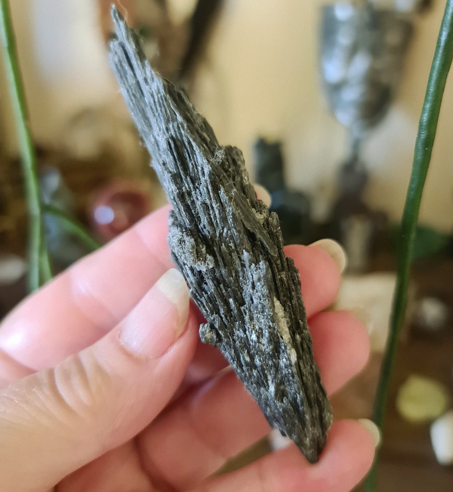 Black Kyanite