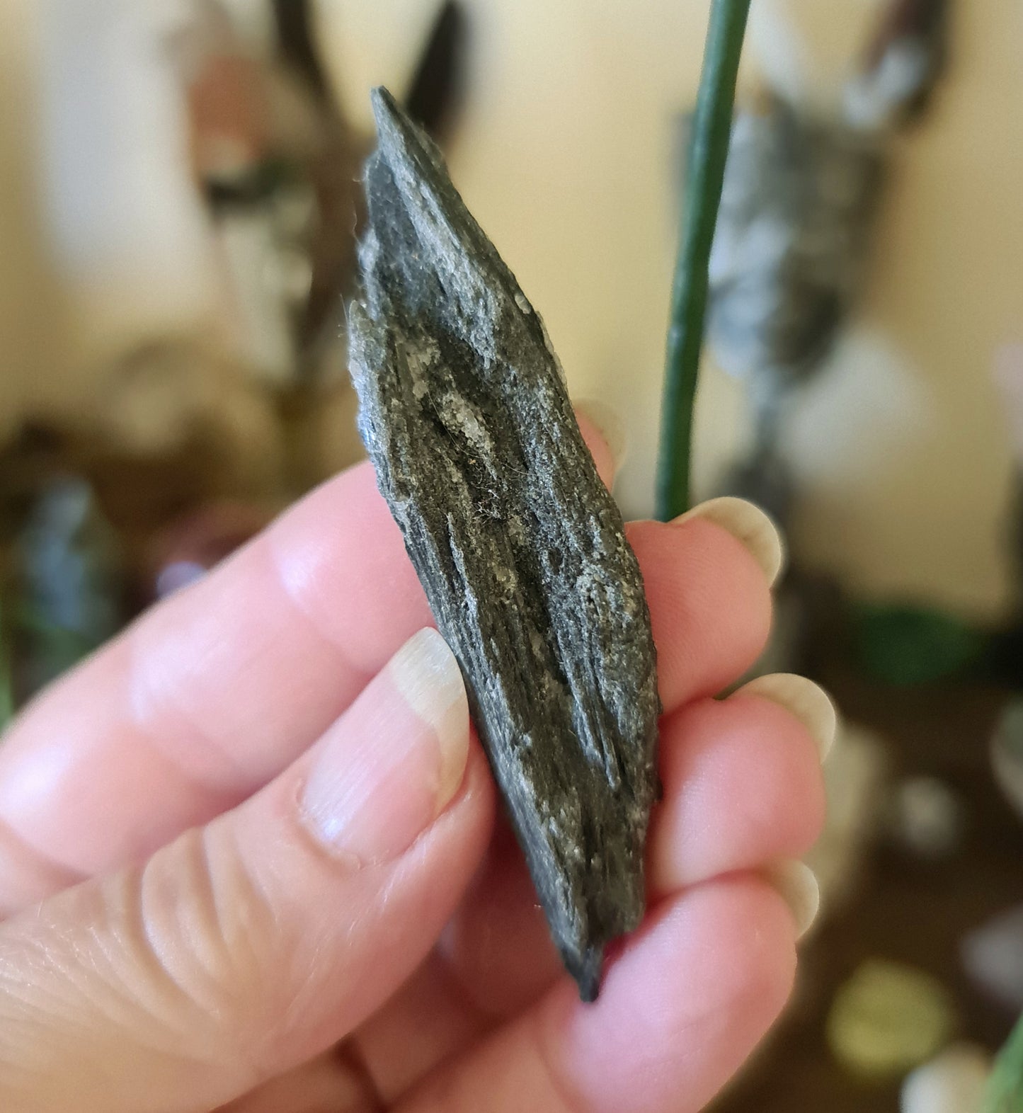Black Kyanite