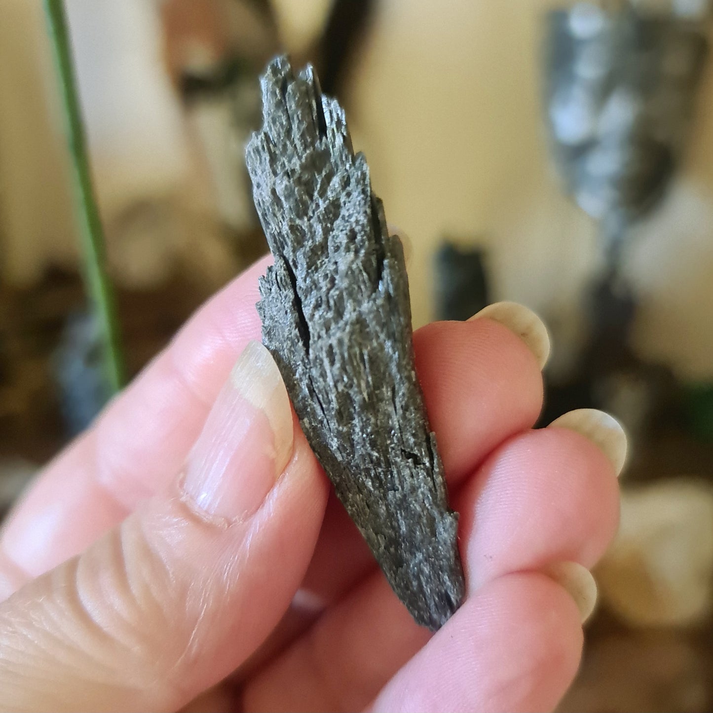 Black Kyanite